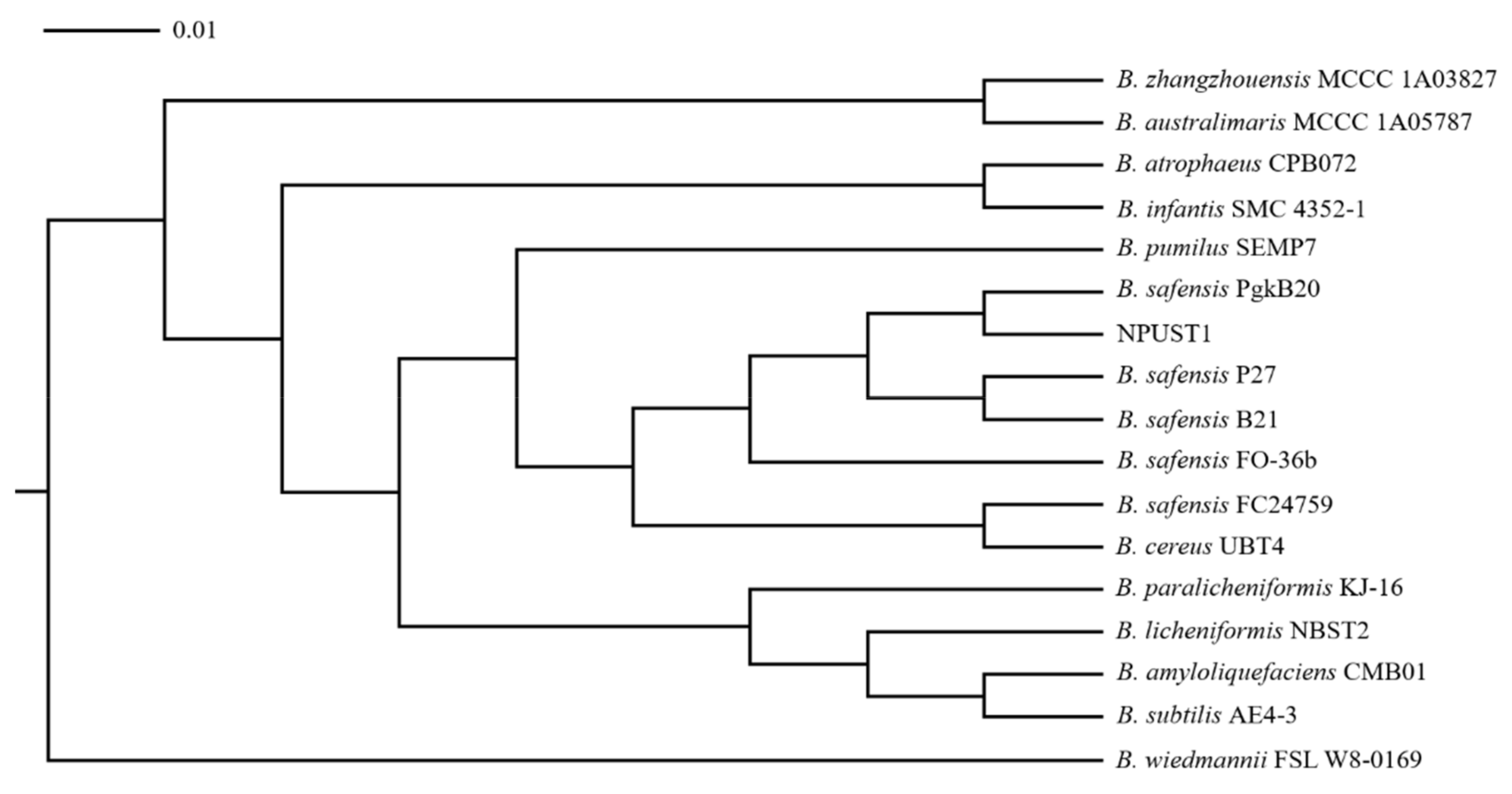 Microorganisms 09 02494 g002