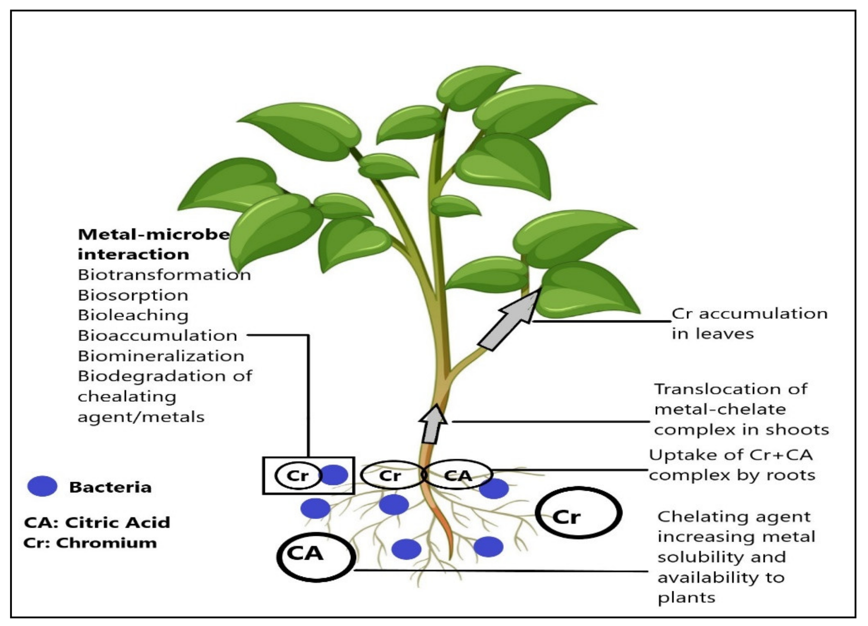 Microorganisms 09 02499 g001 550