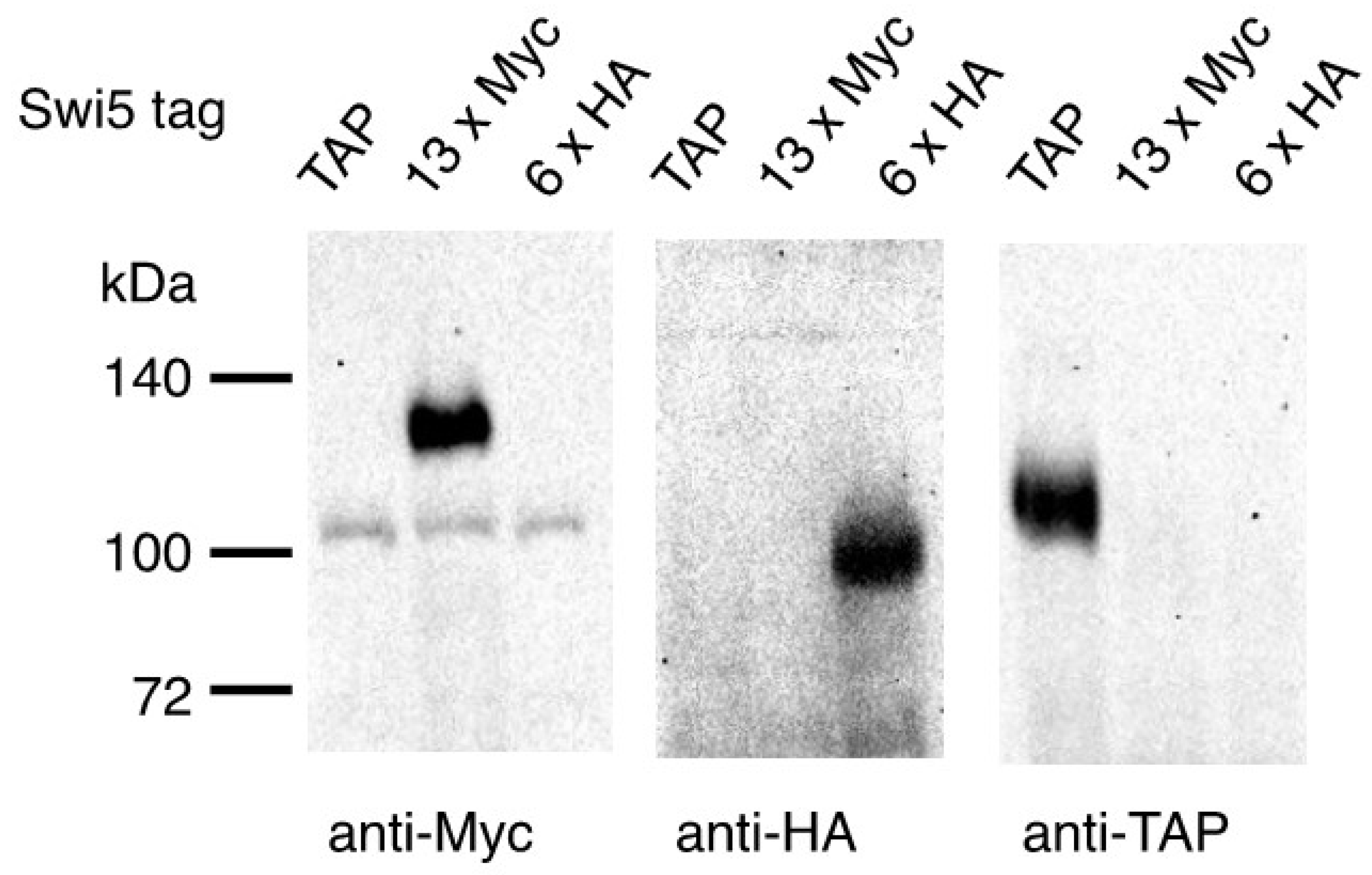 Microorganisms 09 02505 g002 550