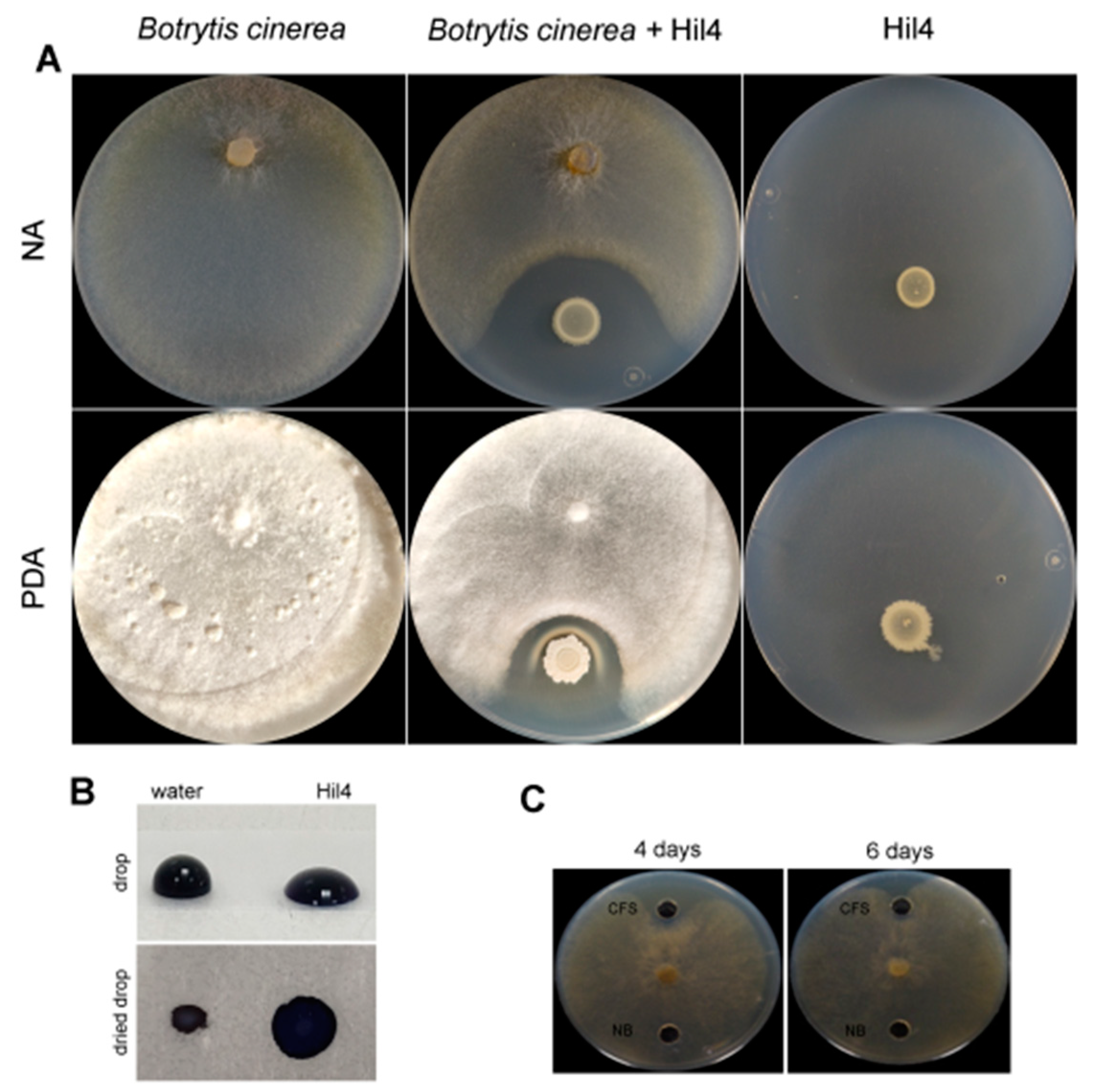 Microorganisms 09 02508 g005 Microorganisms 09 02508 g005
