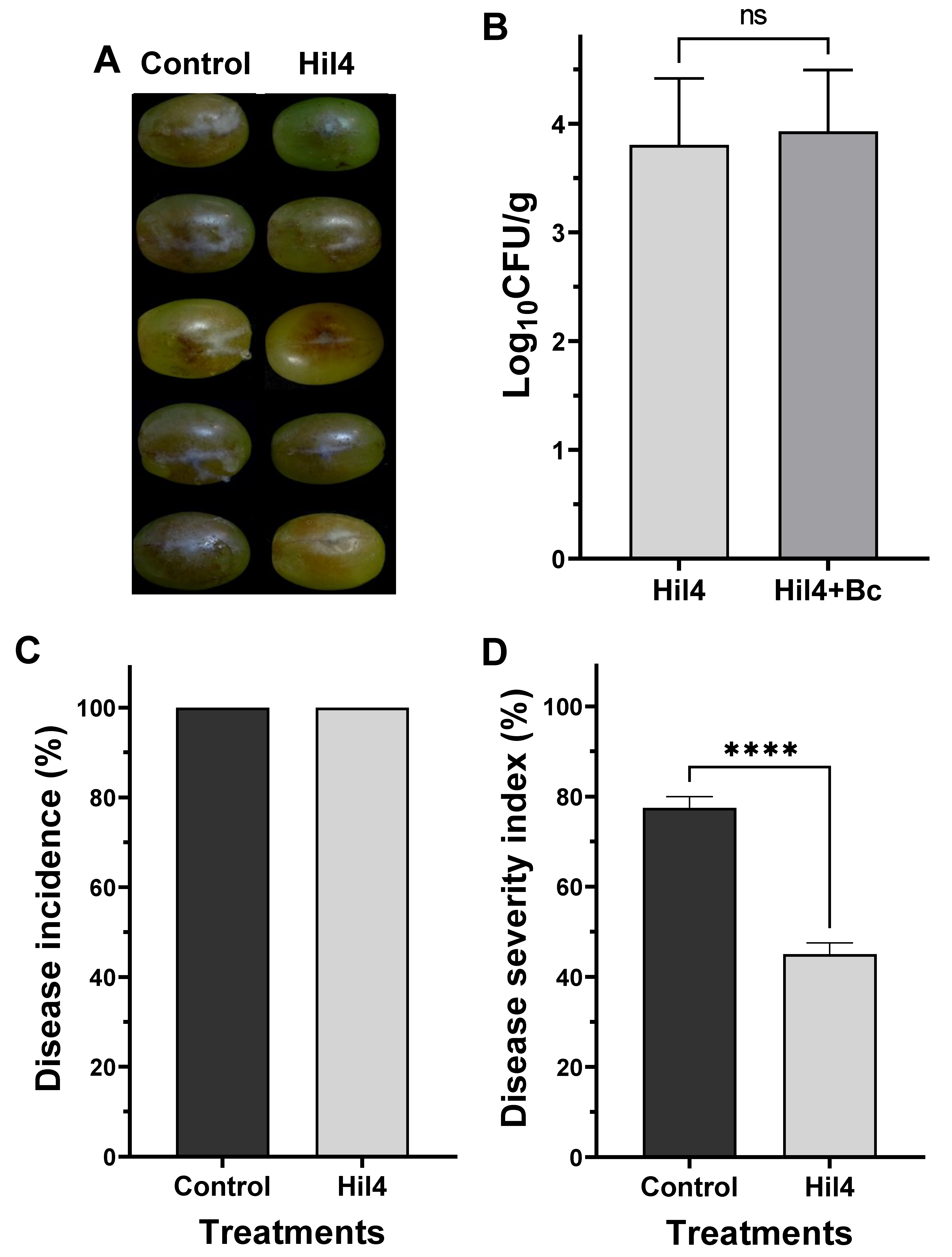 Microorganisms 09 02508 g008 Microorganisms 09 02508 g008