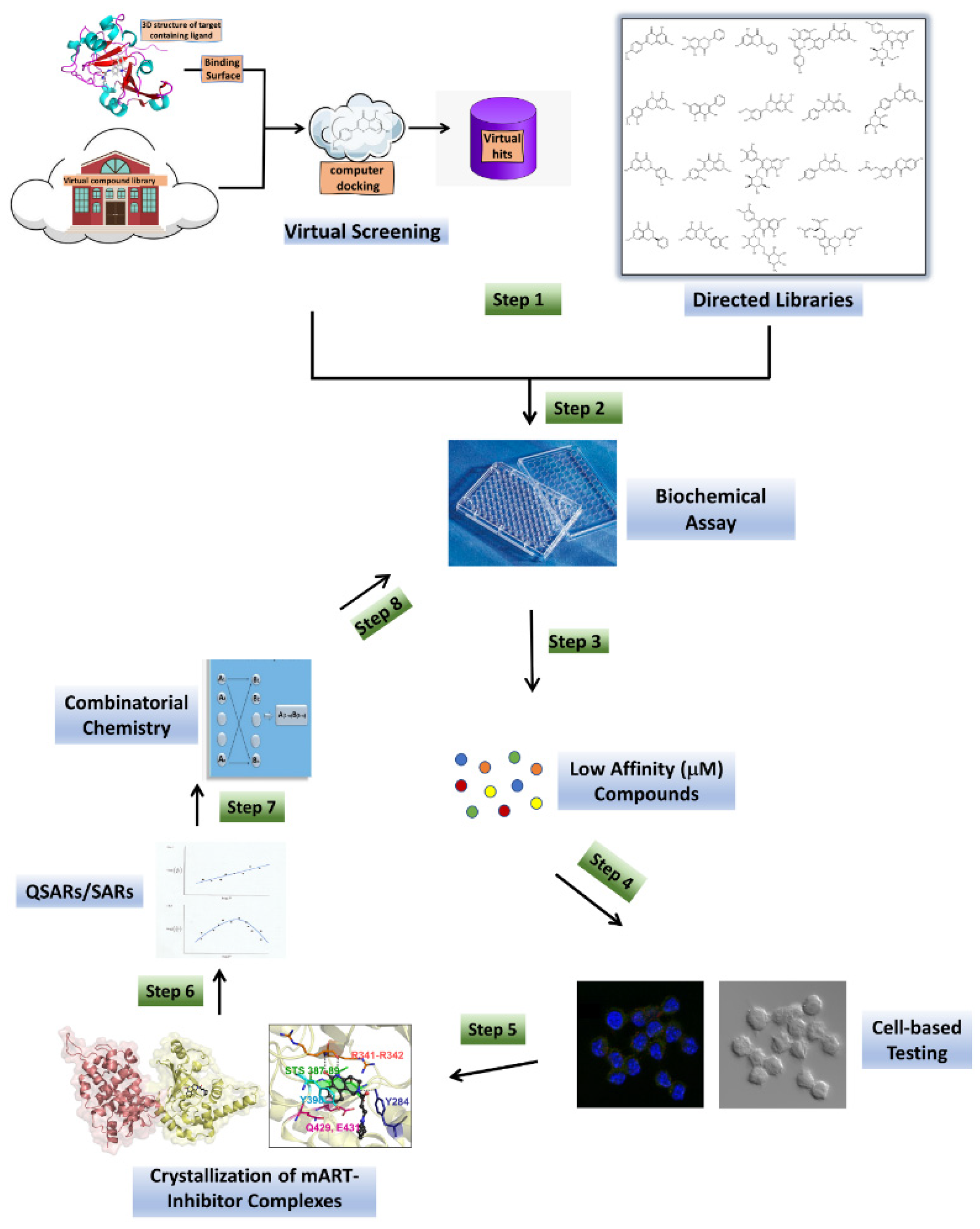 Microorganisms 09 02514 g002 Microorganisms 09 02514 g002