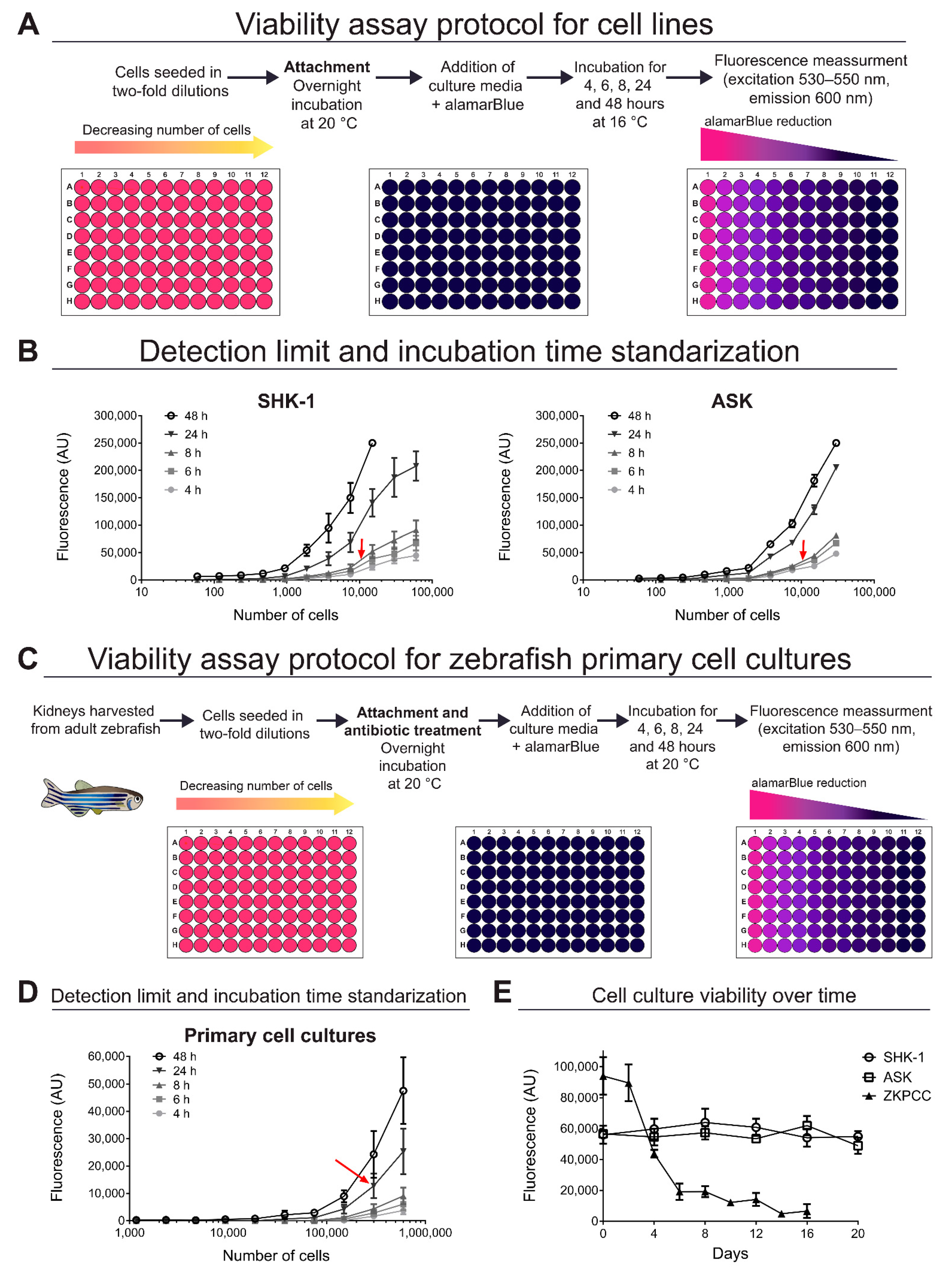 Microorganisms 09 02516 g001