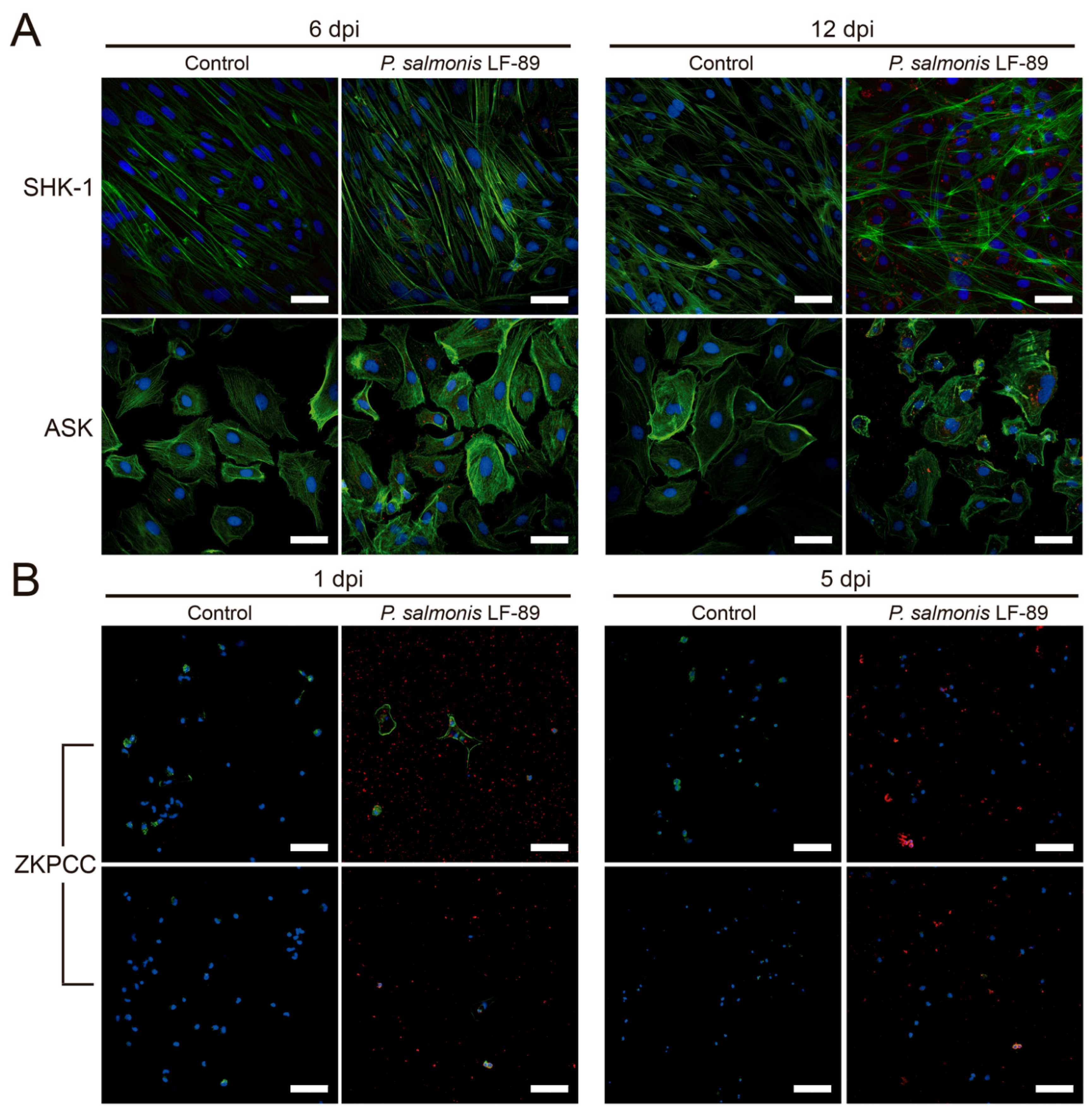 Microorganisms 09 02516 g005