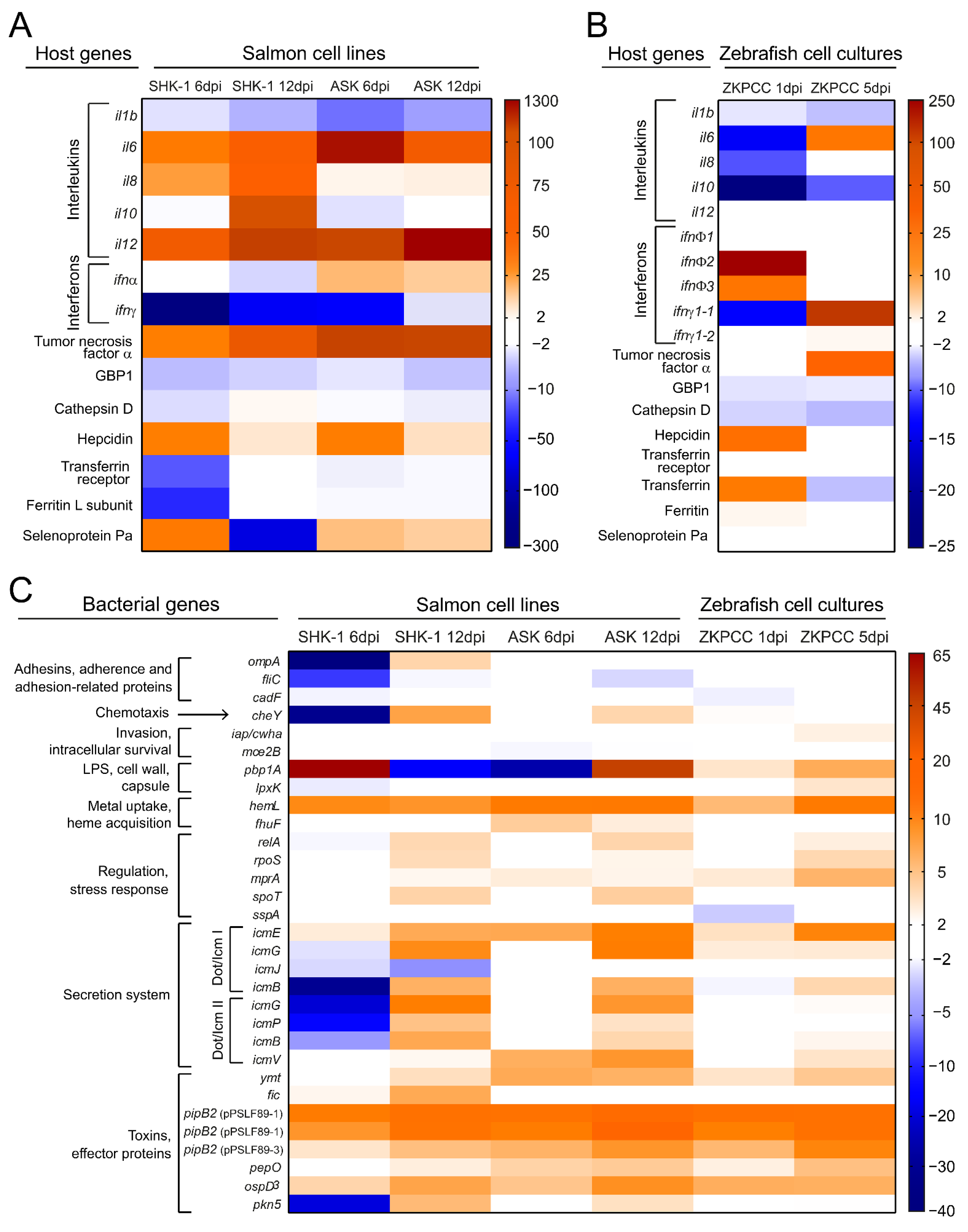Microorganisms 09 02516 g006