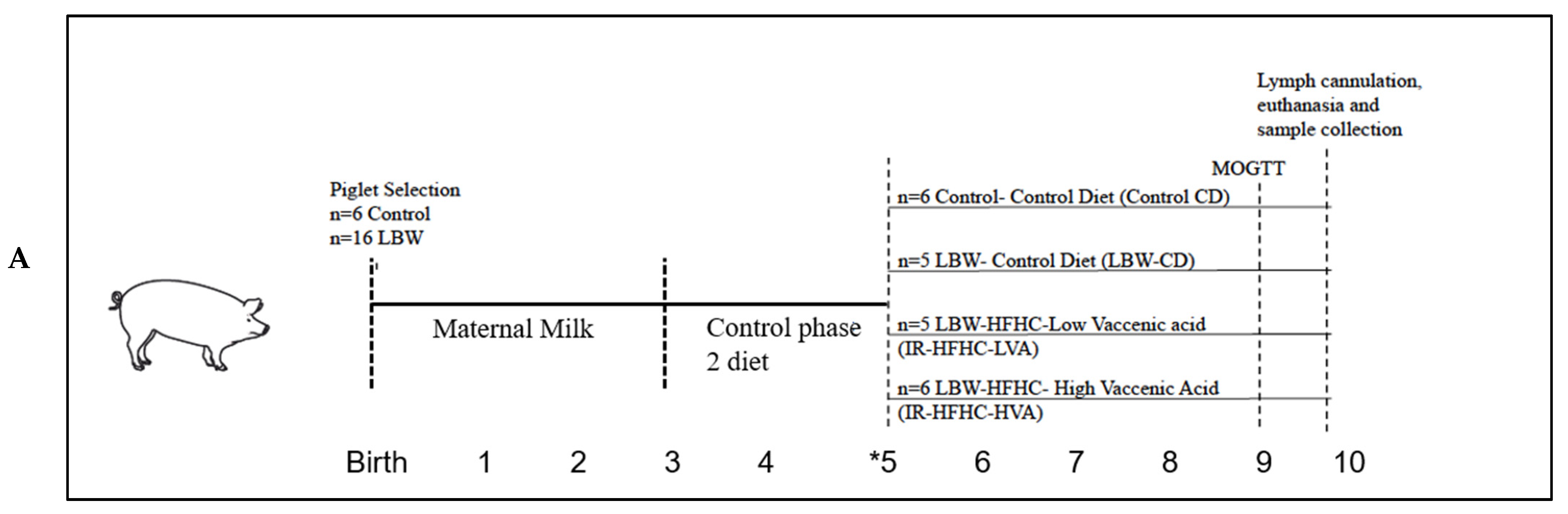 Microorganisms 09 02517 g001a 550