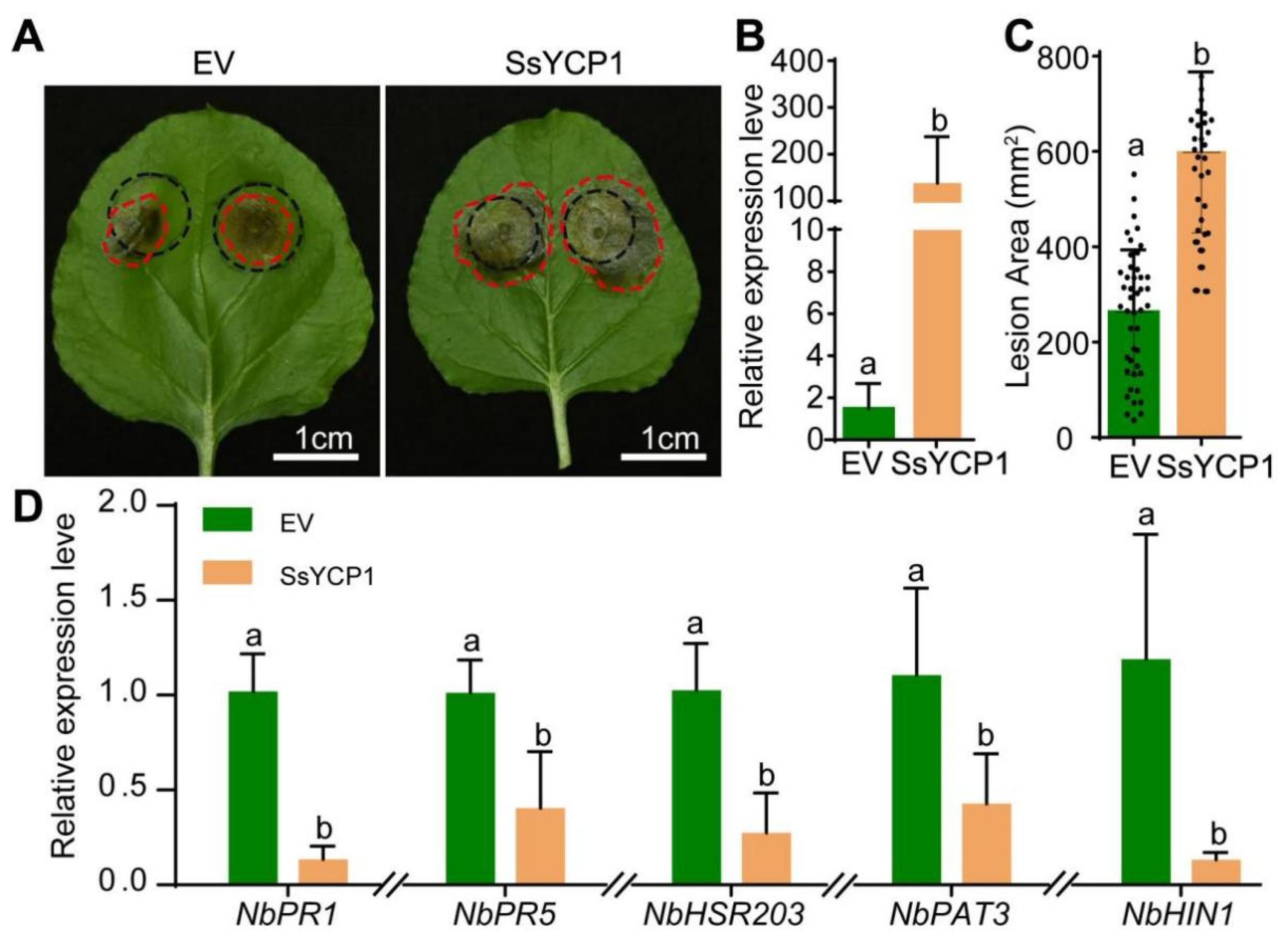 Microorganisms 09 02519 g002