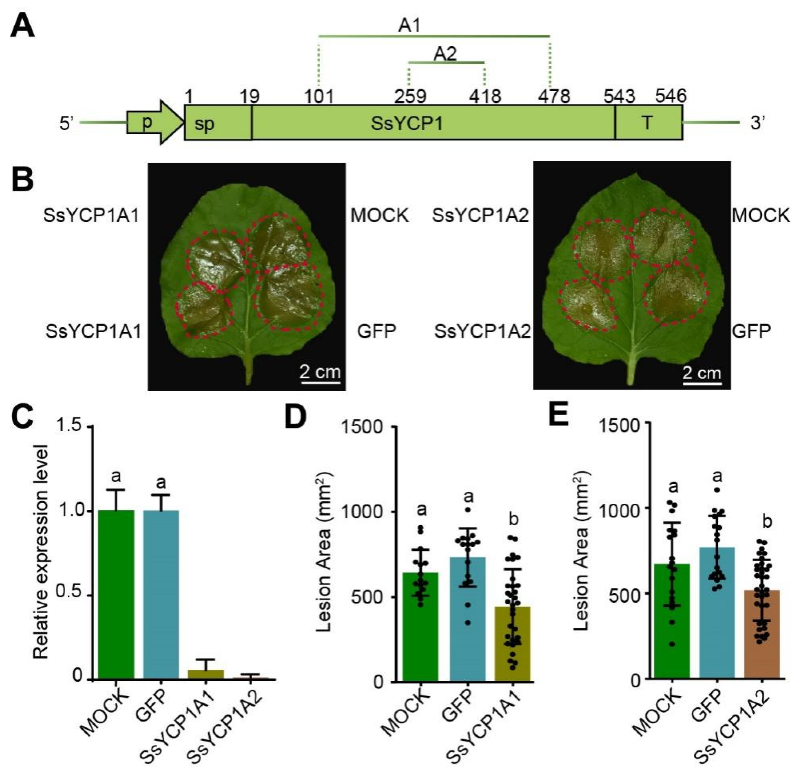 Microorganisms 09 02519 g003