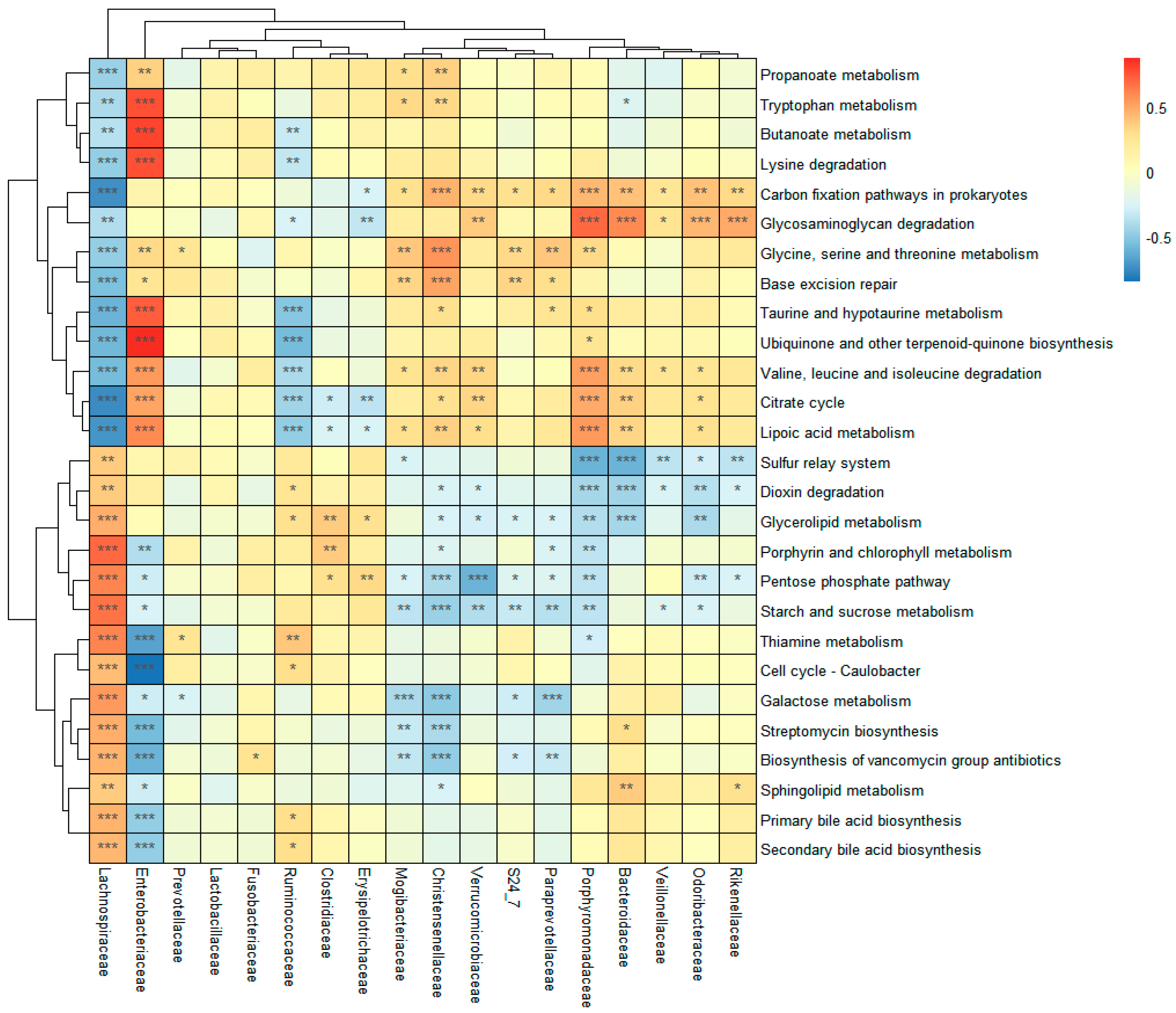 Microorganisms 09 02524 g003