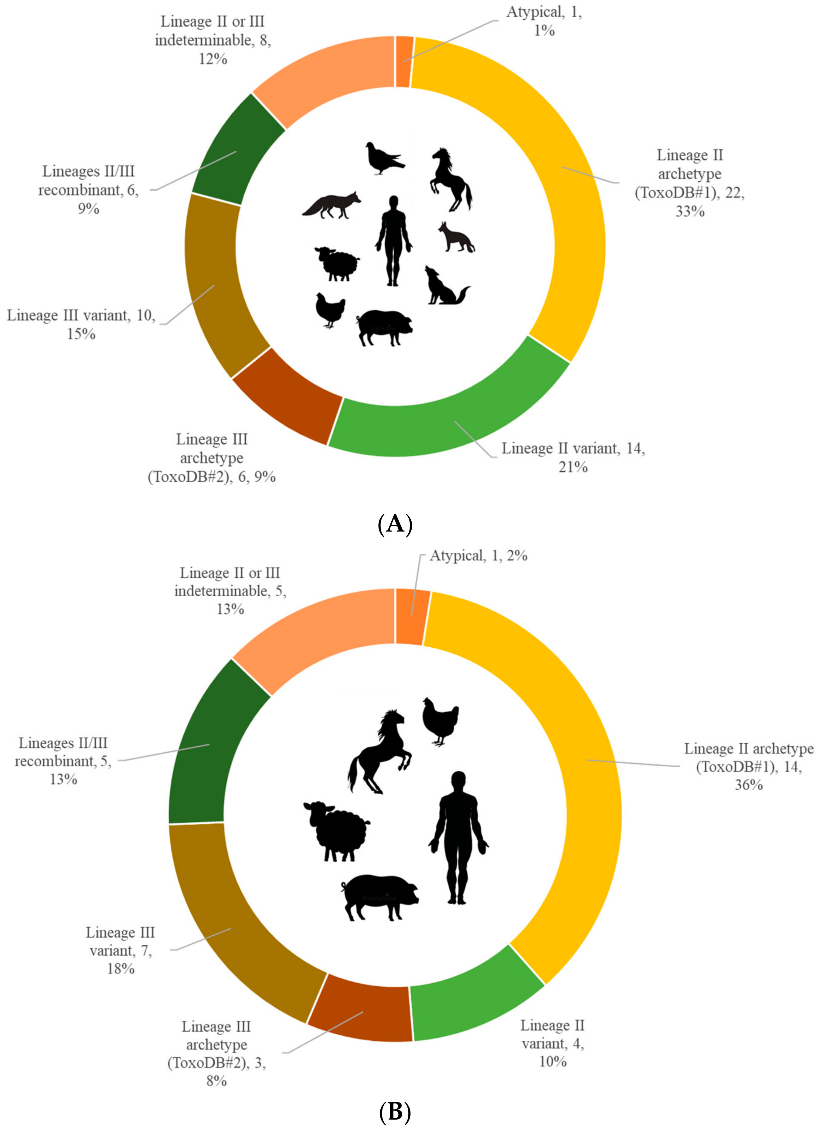 Microorganisms 09 02526 g001a Microorganisms 09 02526 g001a
