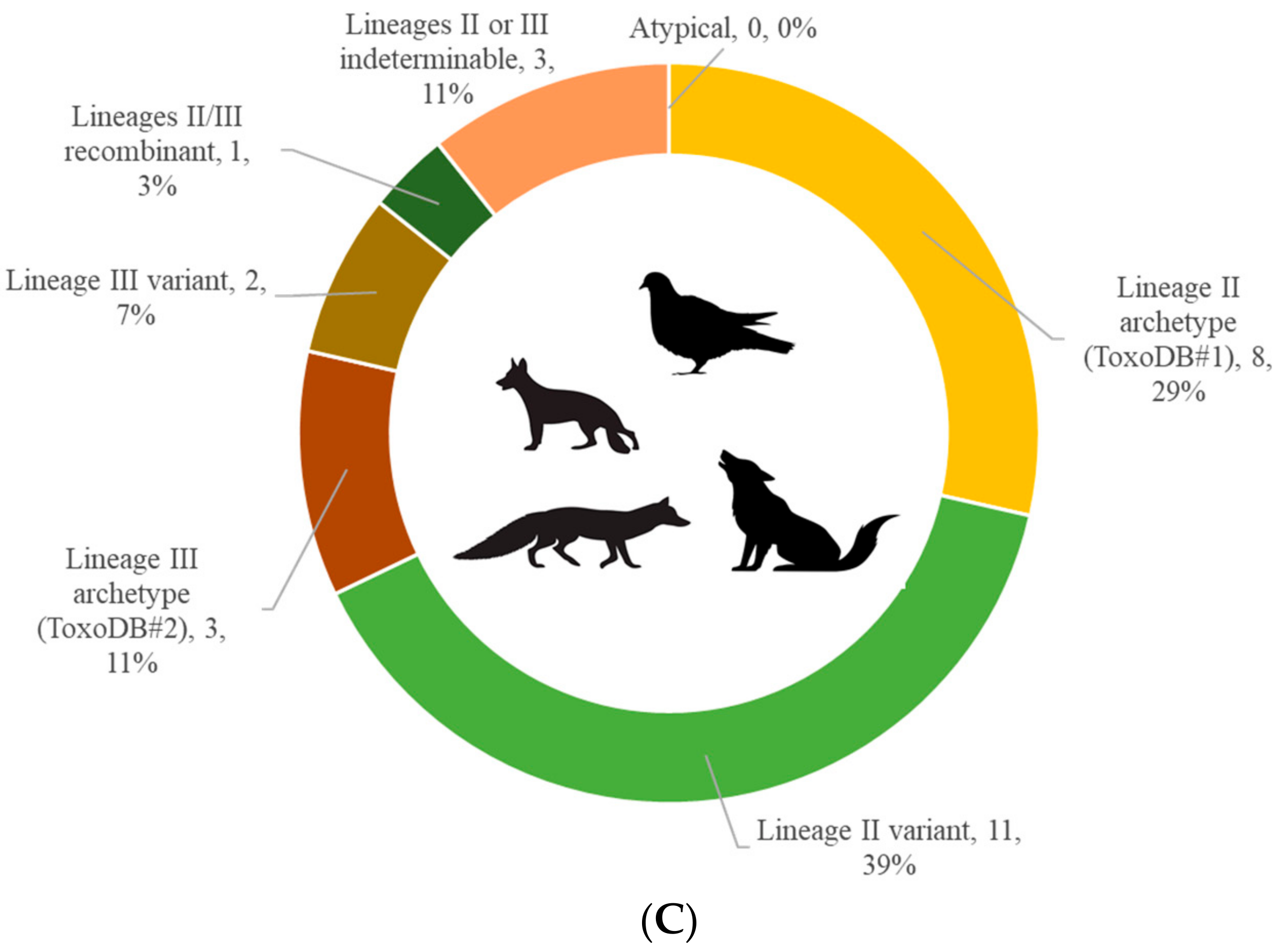 Microorganisms 09 02526 g001b Microorganisms 09 02526 g001b
