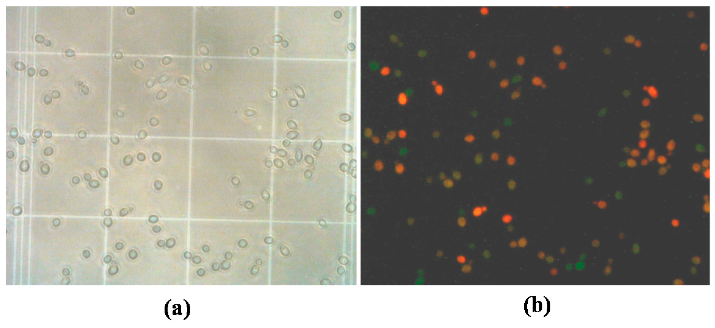 Microorganisms 09 02528 g001 Microorganisms 09 02528 g001