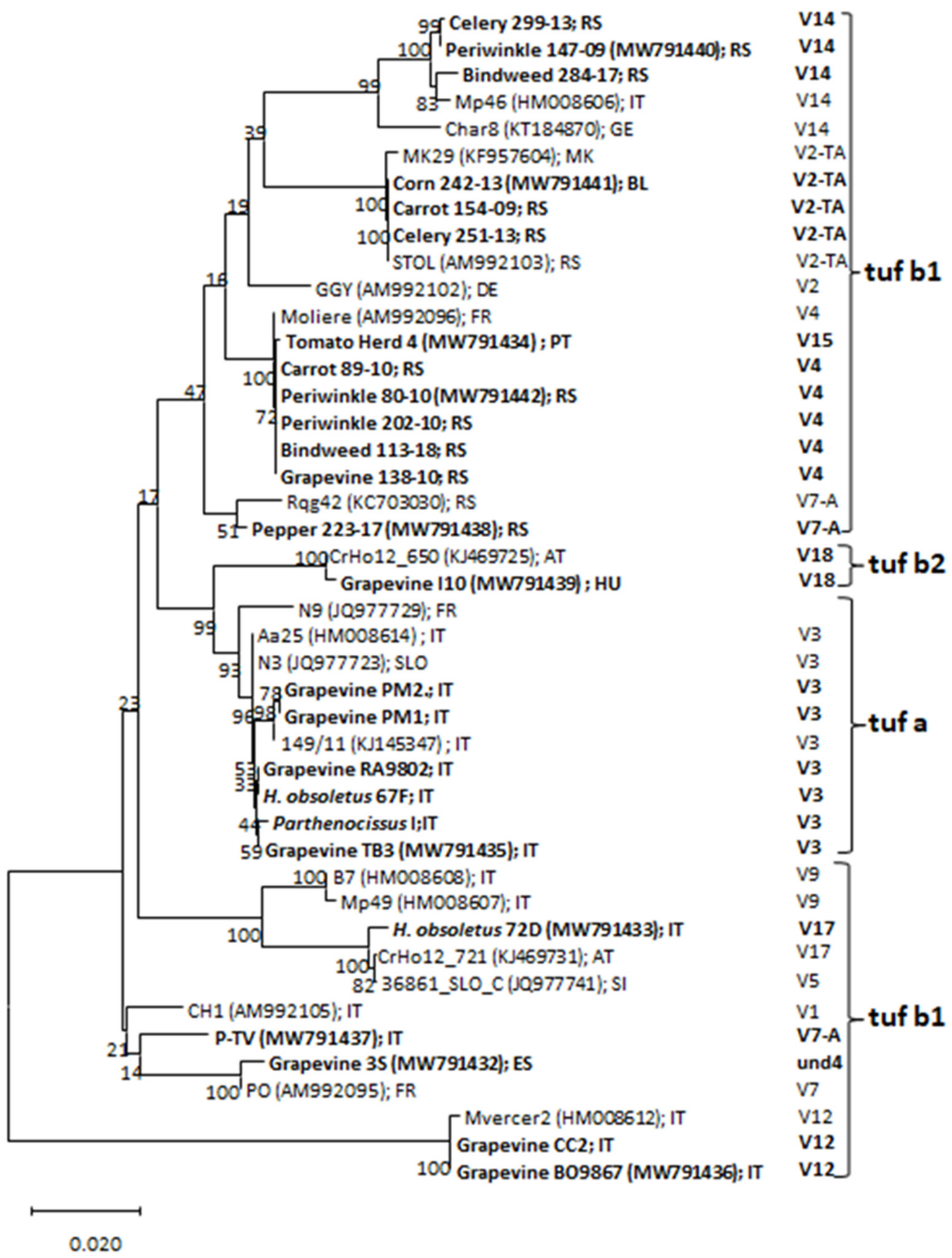 Microorganisms 09 02530 g001 Microorganisms 09 02530 g001