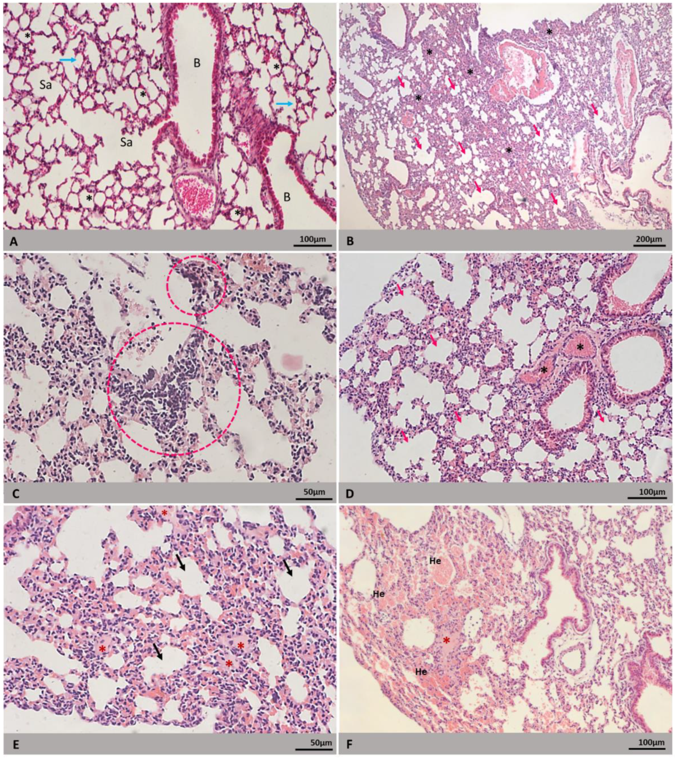 Microorganisms 09 02536 g003 Microorganisms 09 02536 g003