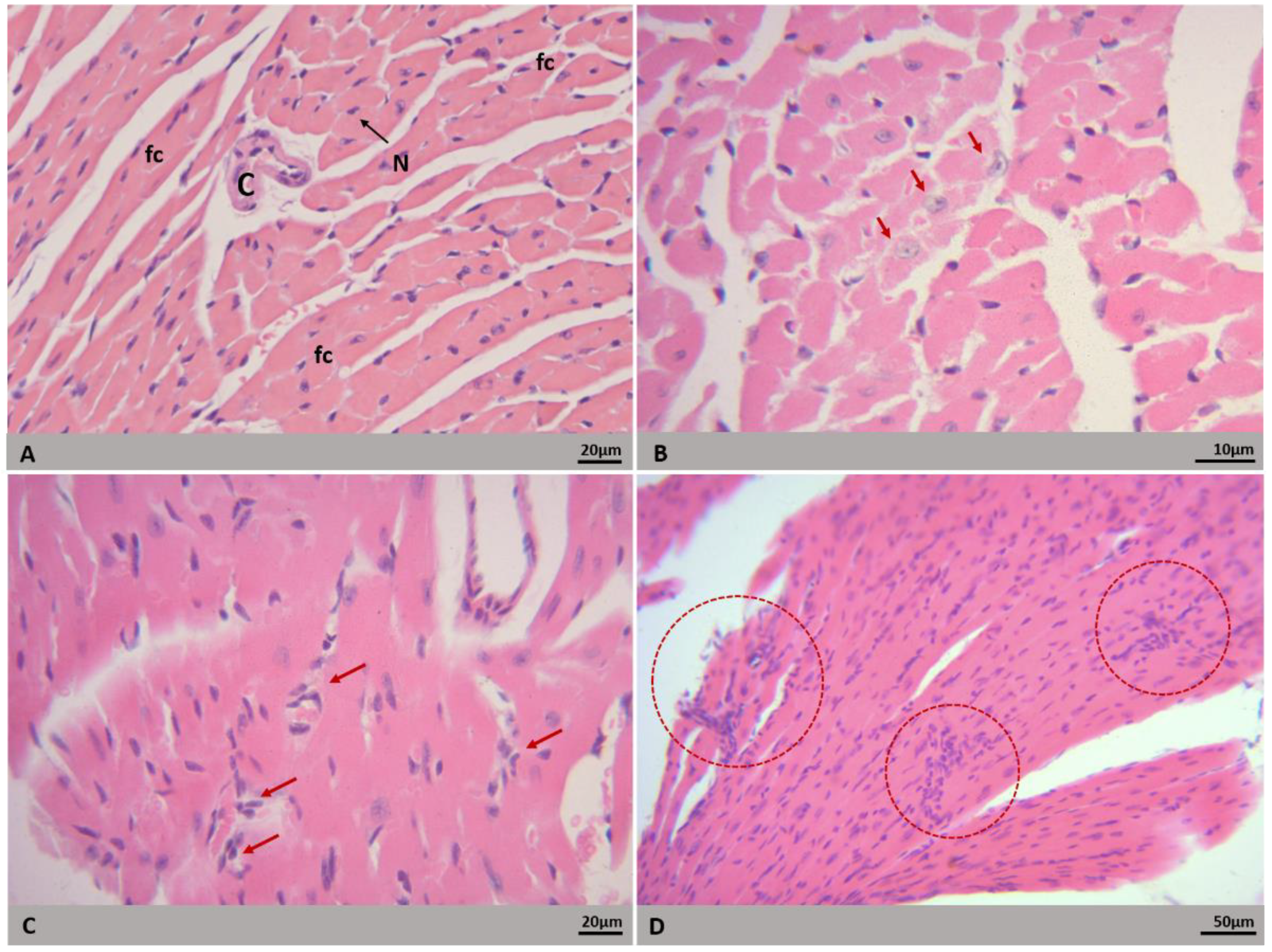 Microorganisms 09 02536 g004 Microorganisms 09 02536 g004