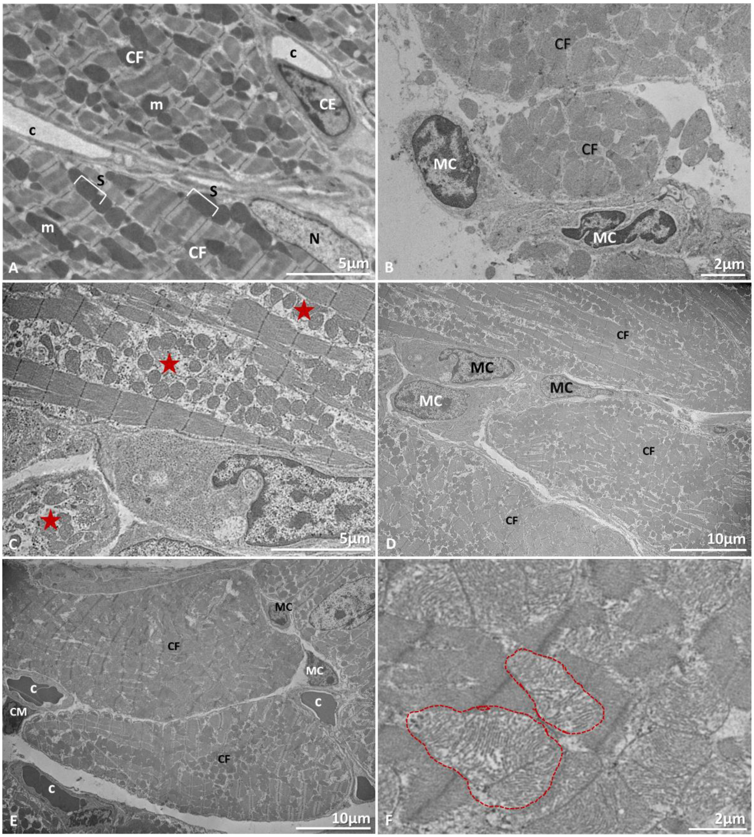 Microorganisms 09 02536 g005 Microorganisms 09 02536 g005