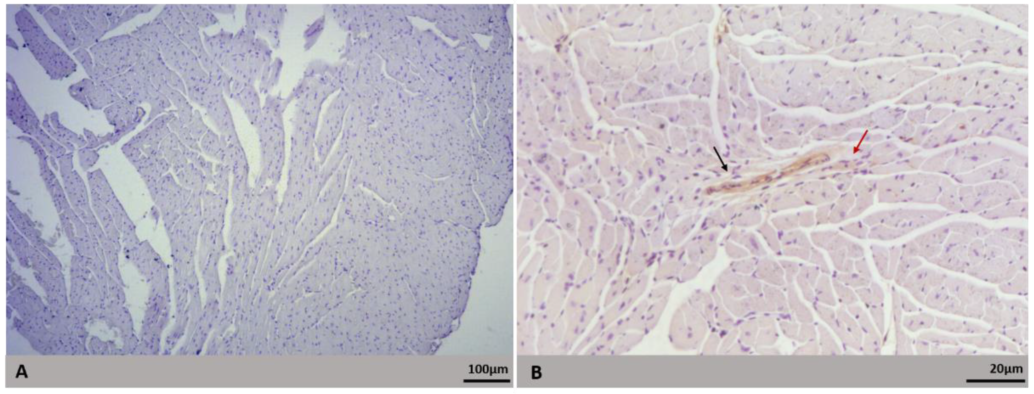 Microorganisms 09 02536 g007 Microorganisms 09 02536 g007