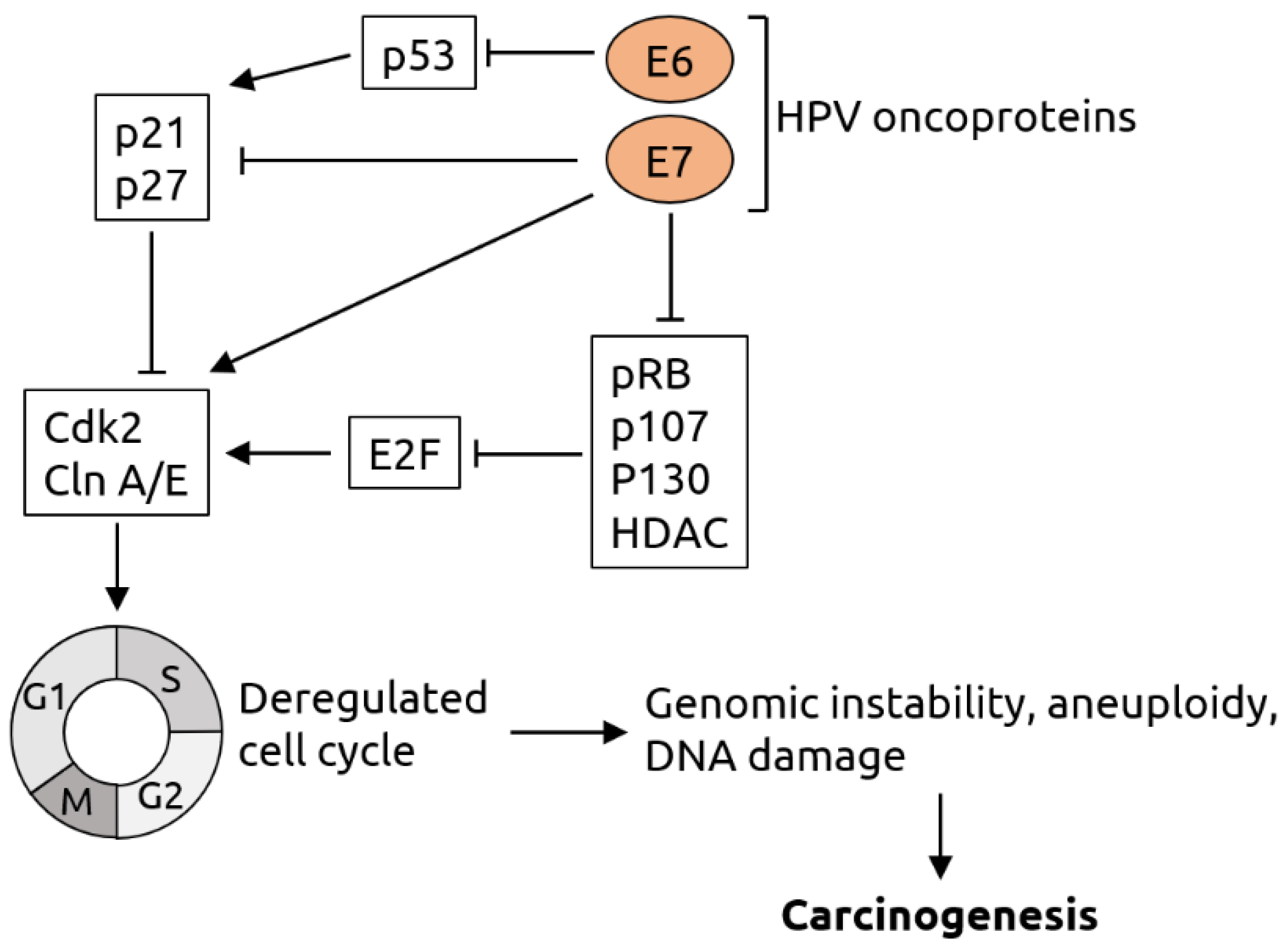 Microorganisms 09 02538 g002 Microorganisms 09 02538 g002