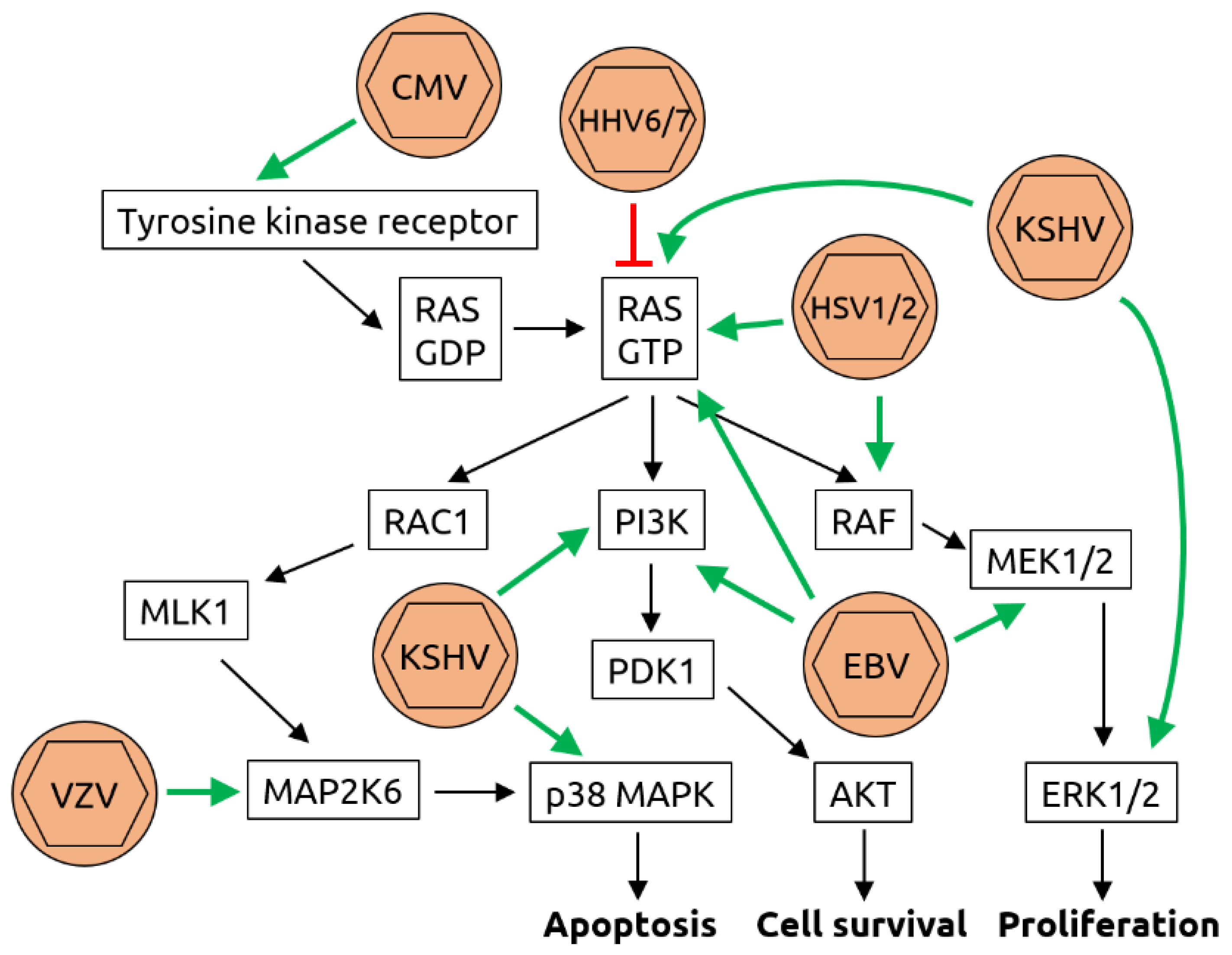 Microorganisms 09 02538 g003 Microorganisms 09 02538 g003