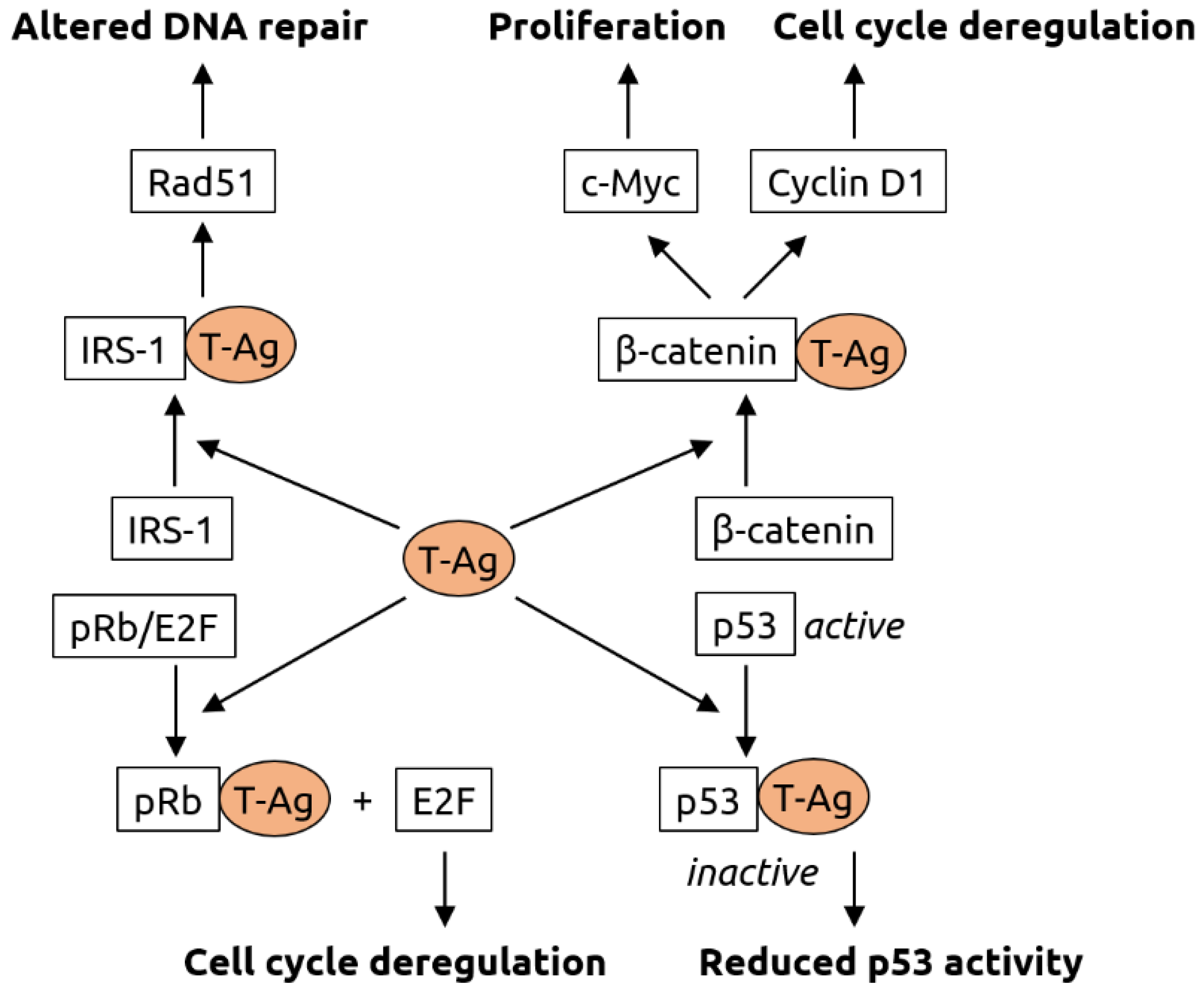 Microorganisms 09 02538 g004 Microorganisms 09 02538 g004