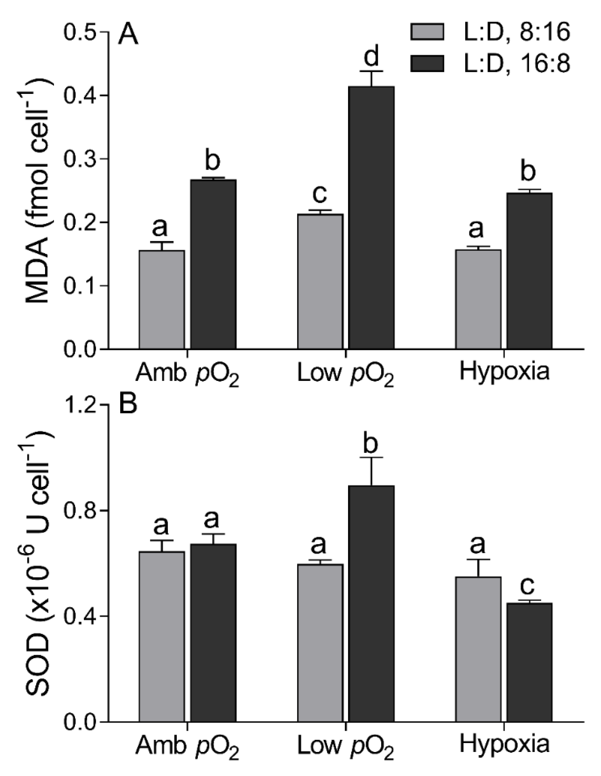 Microorganisms 09 02541 g004