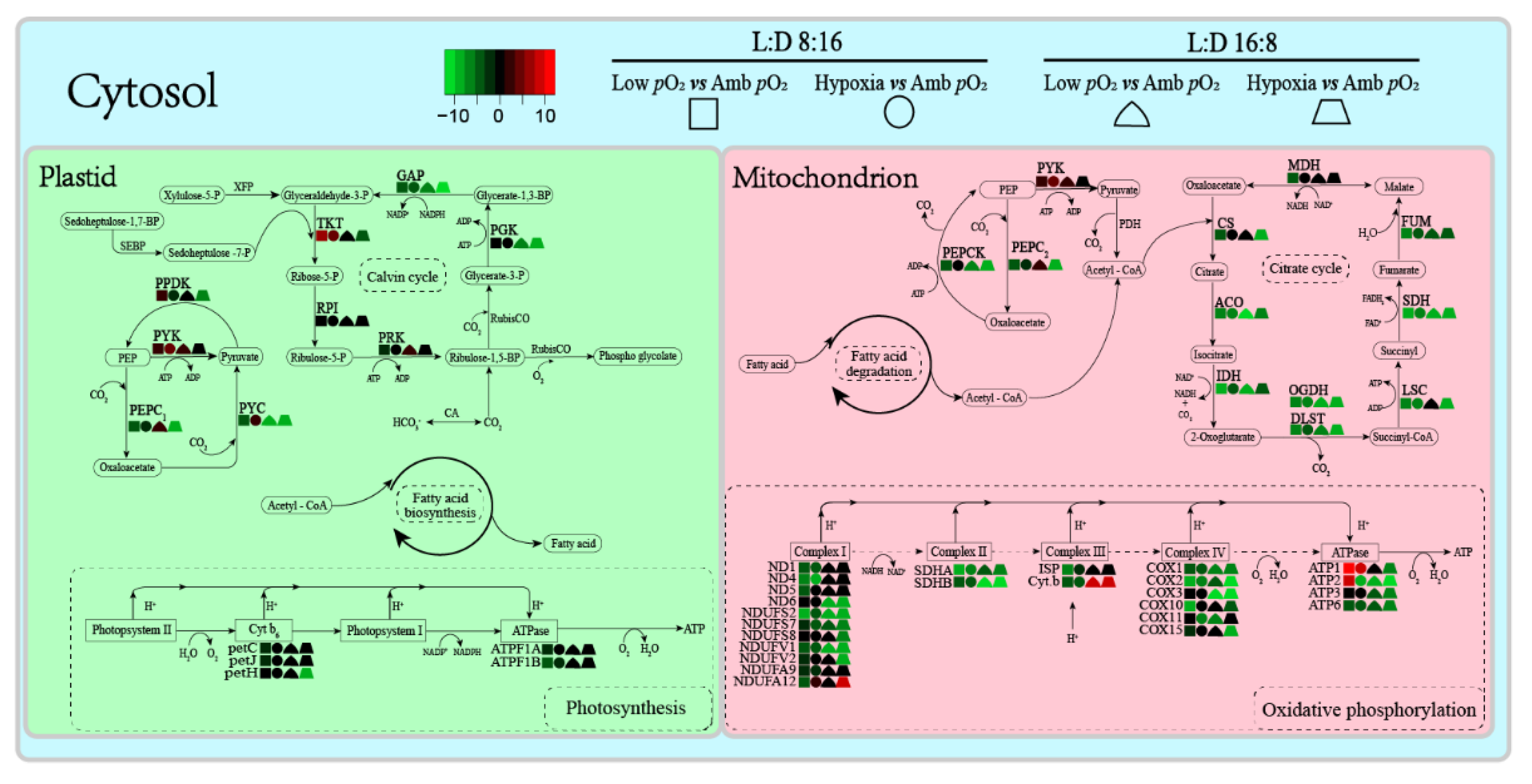 Microorganisms 09 02541 g006