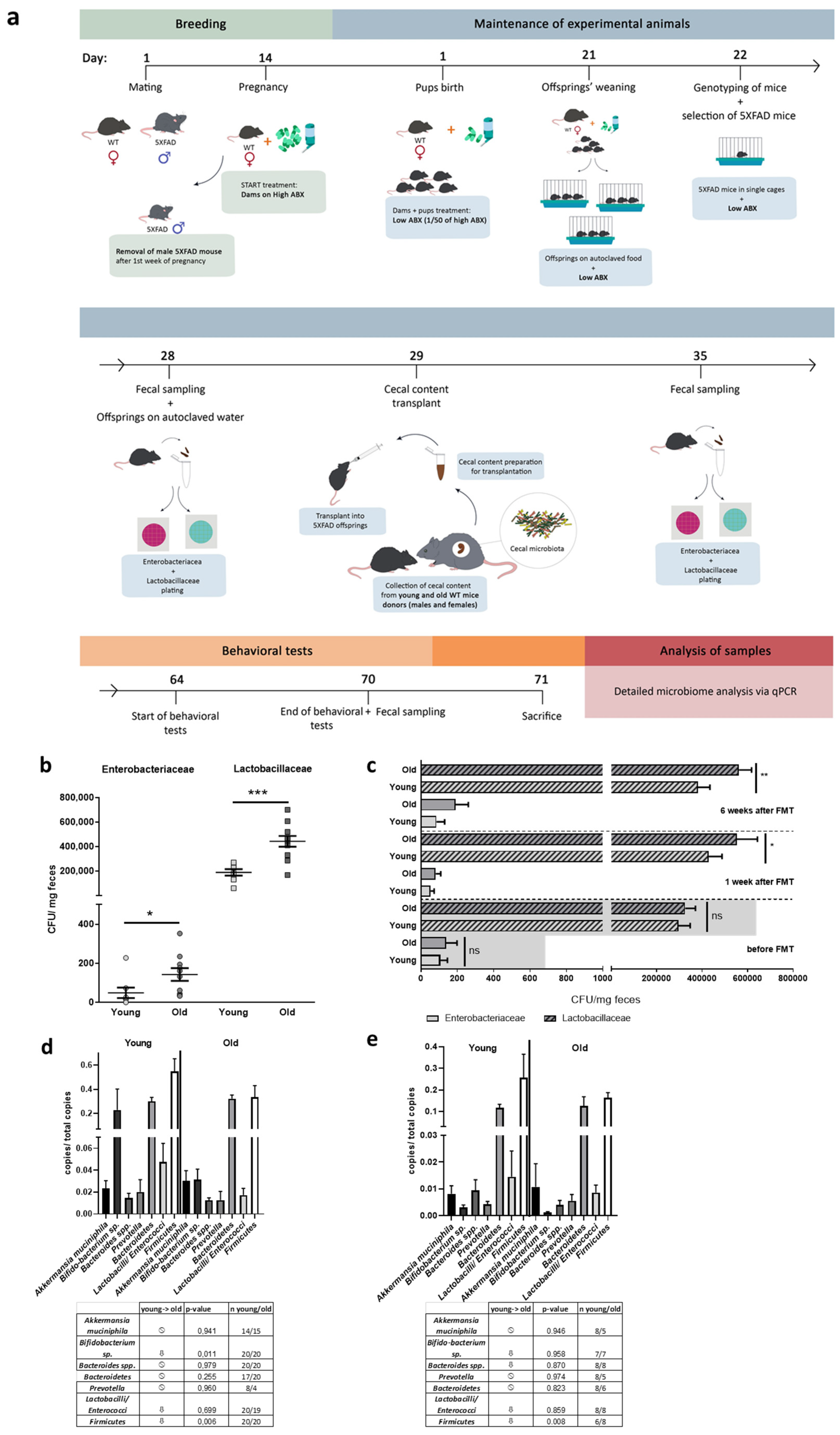 Microorganisms 09 02548 g001