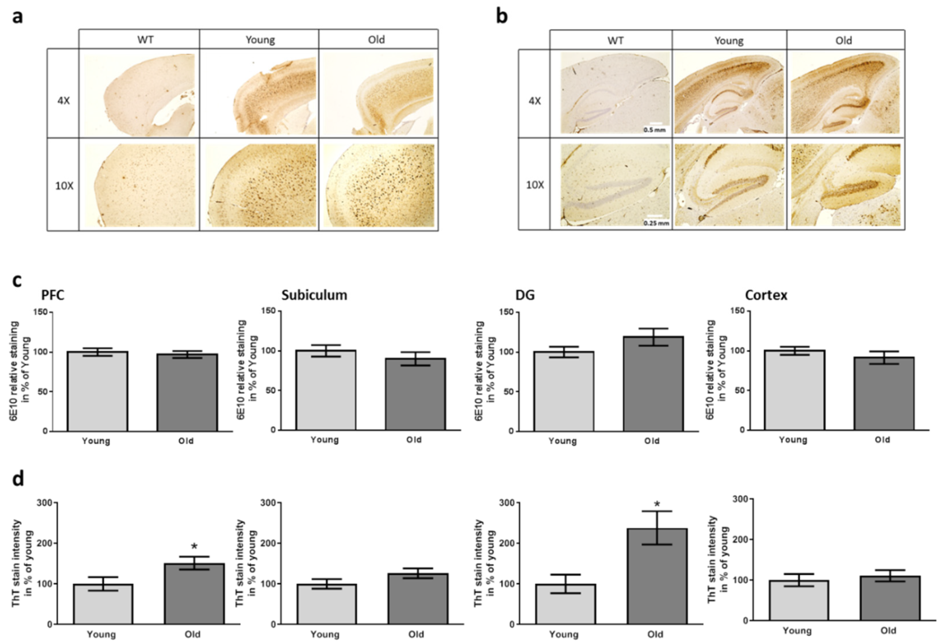 Microorganisms 09 02548 g005