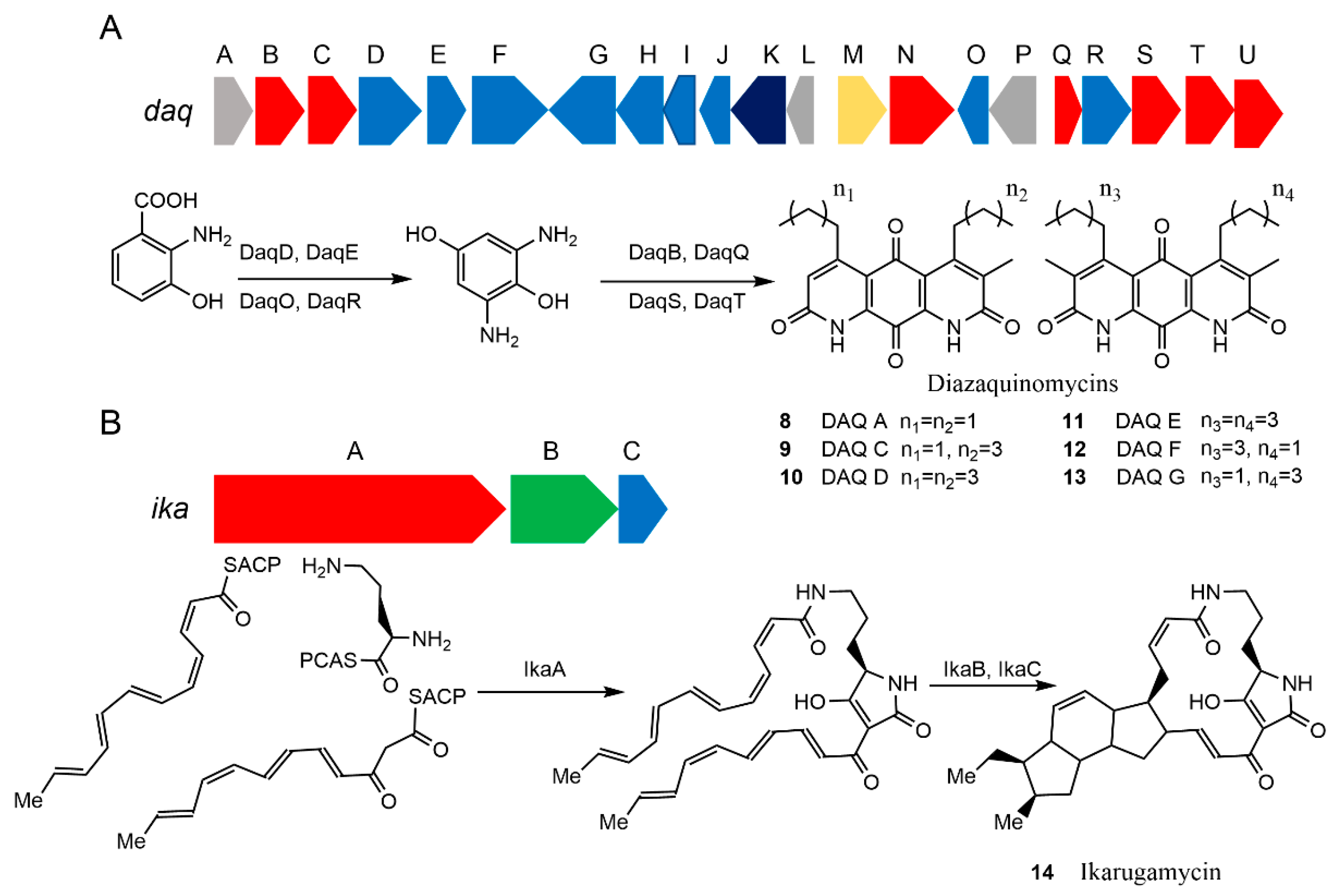 Microorganisms 09 02551 g004