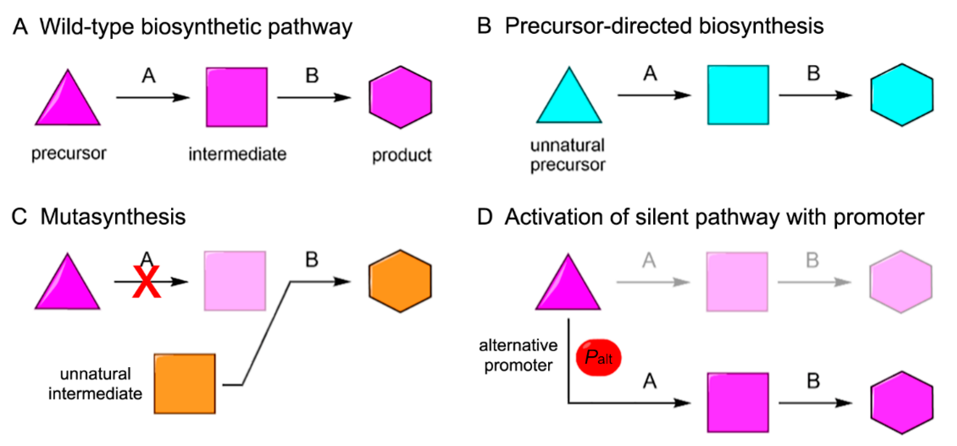 Microorganisms 09 02551 g005