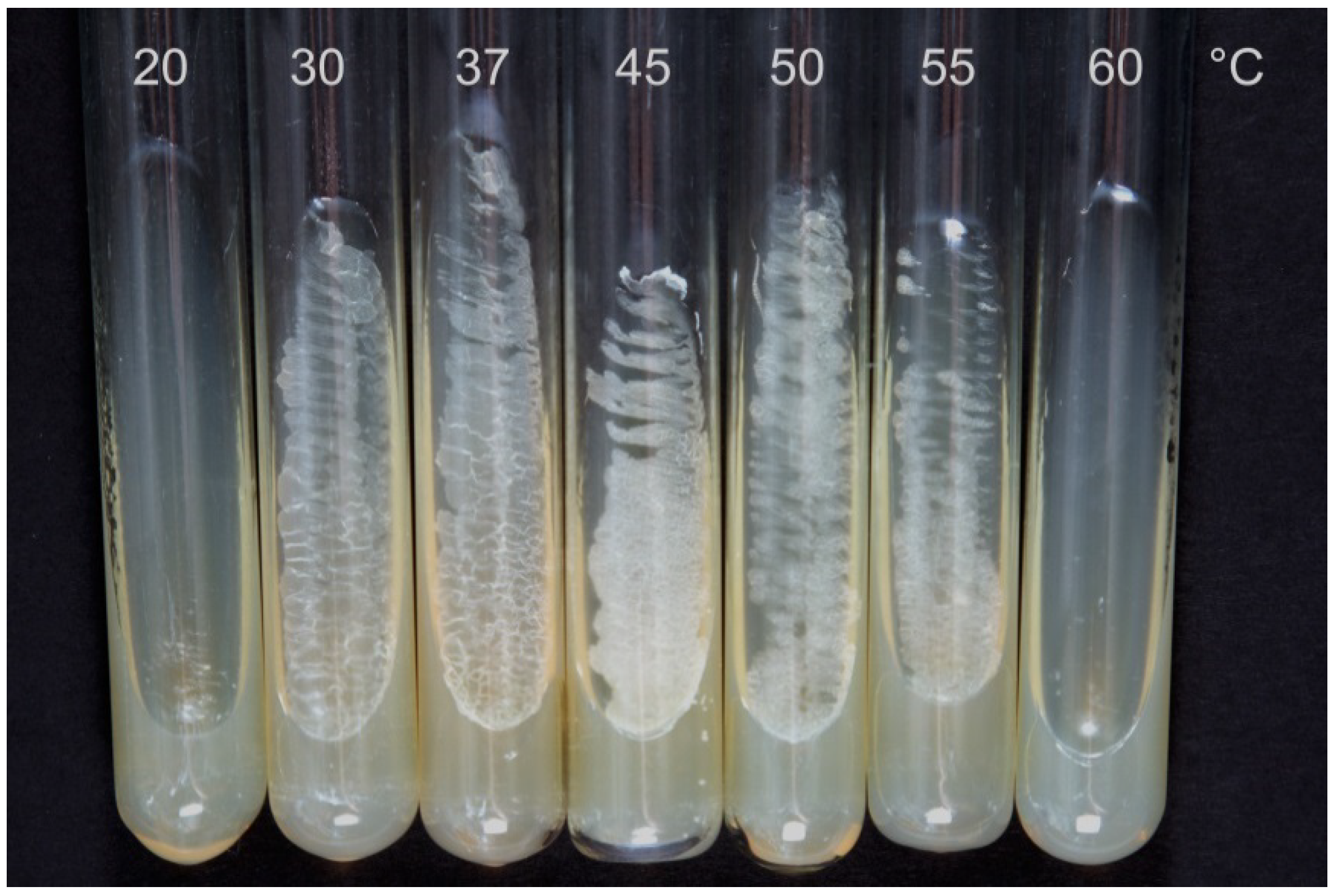 Microorganisms 09 02554 g001 550