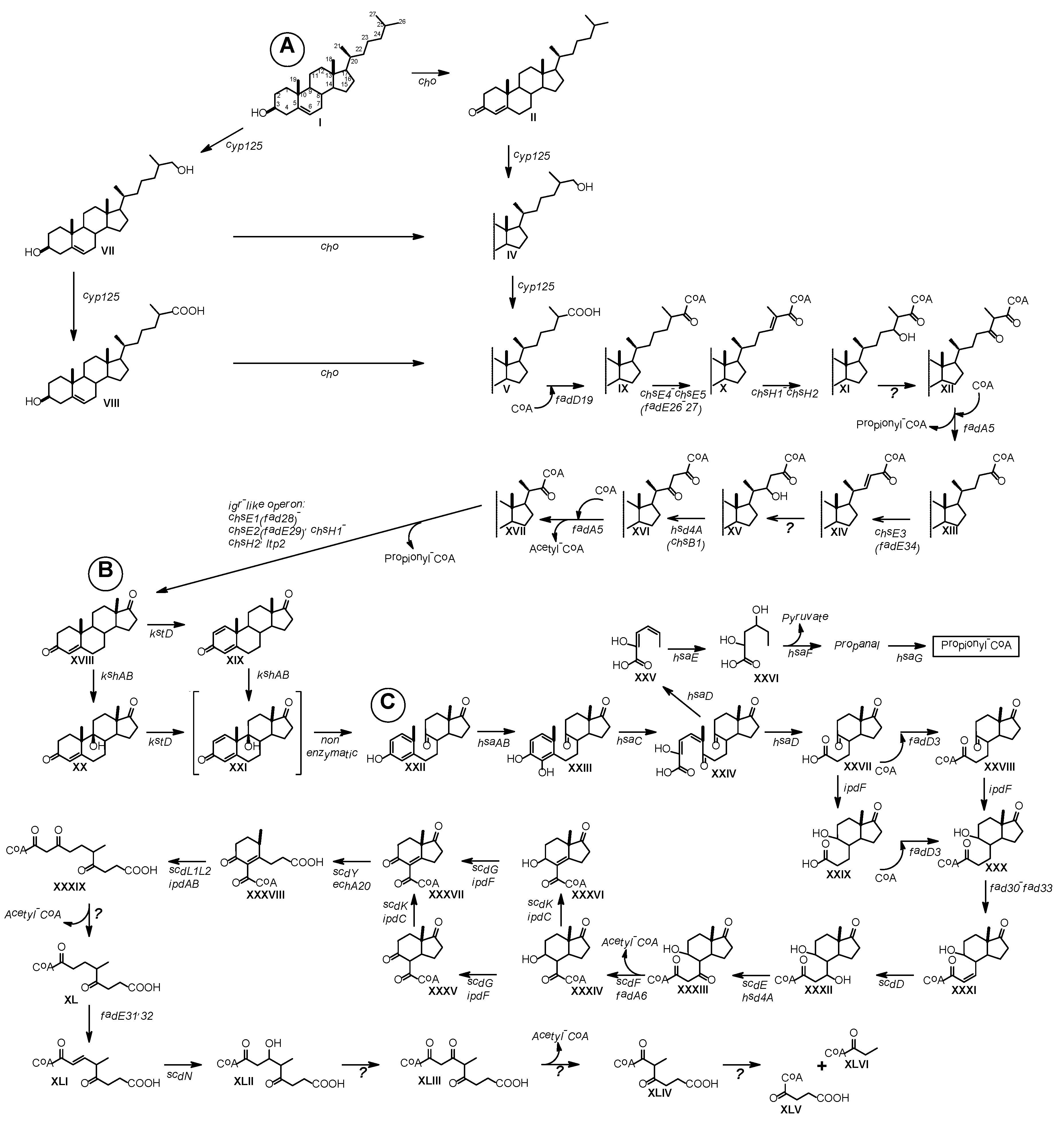 Microorganisms 09 02554 g005 550