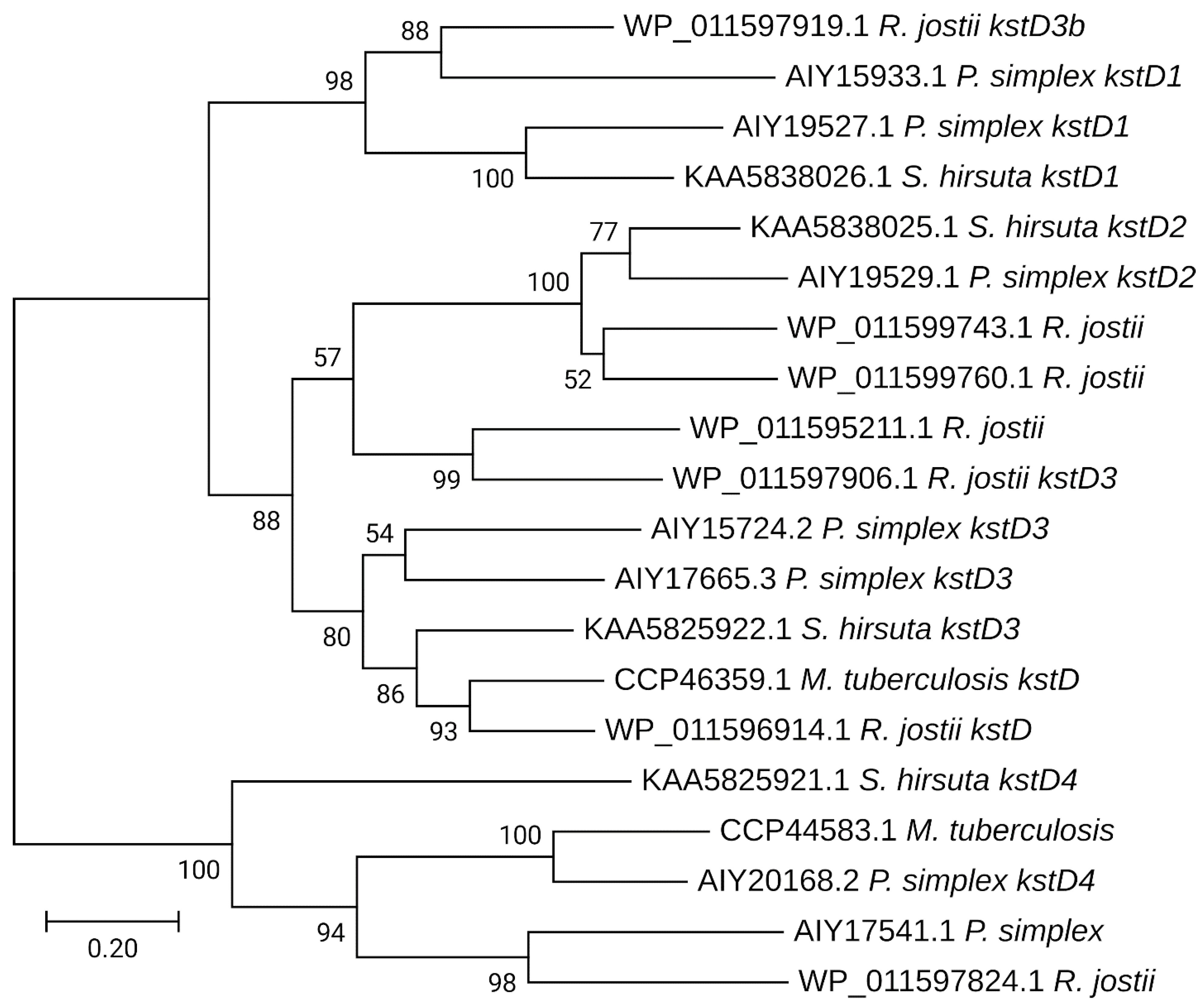 Microorganisms 09 02554 g006 550