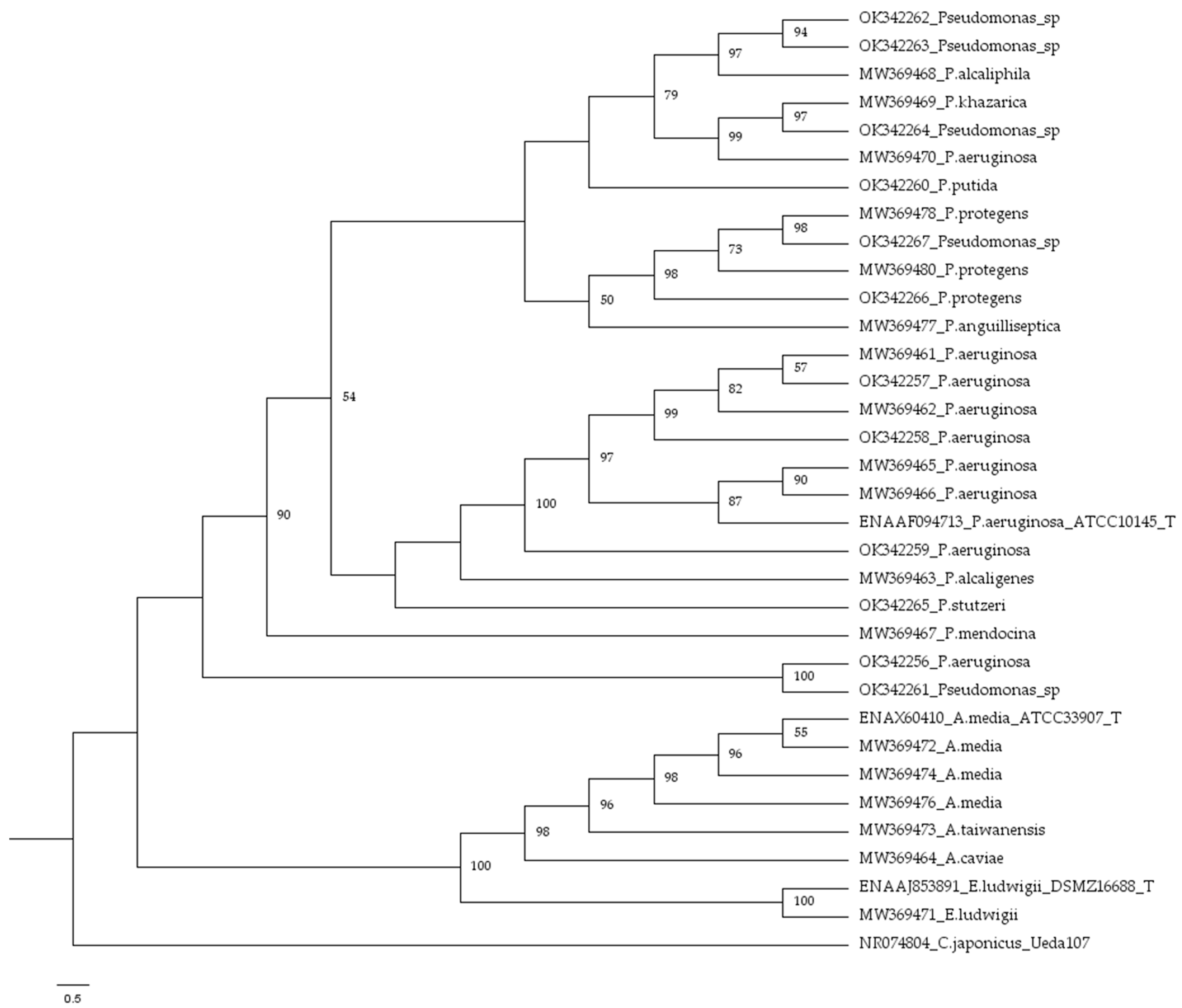 Microorganisms 09 02555 g002 550