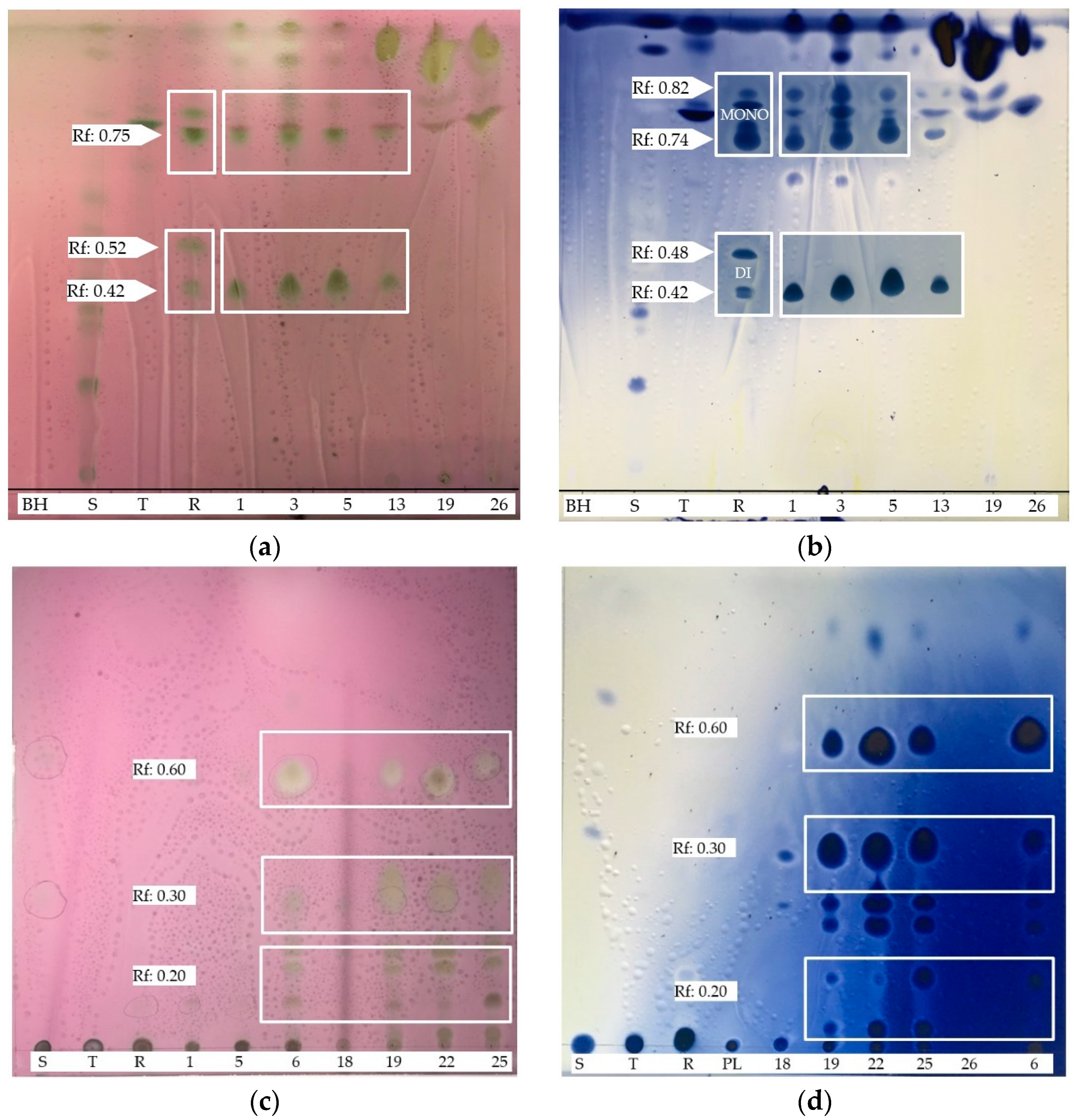 Microorganisms 09 02555 g004 550