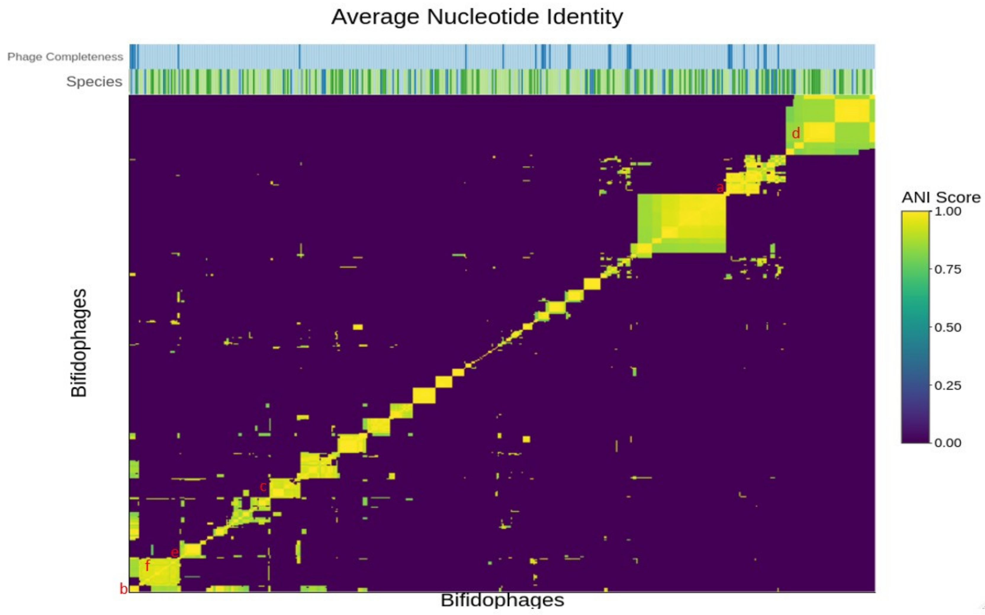 Microorganisms 09 02559 g001