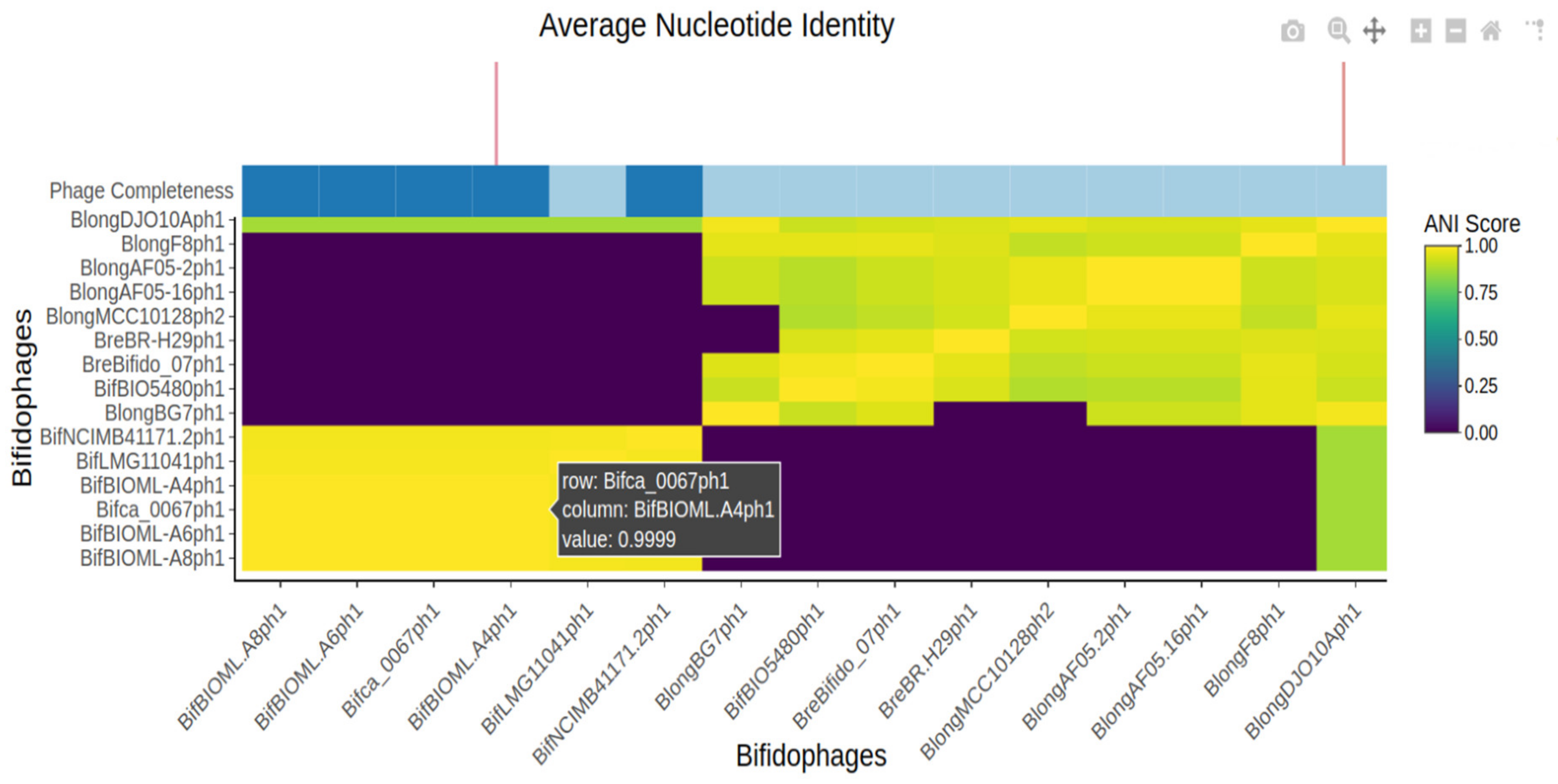 Microorganisms 09 02559 g002