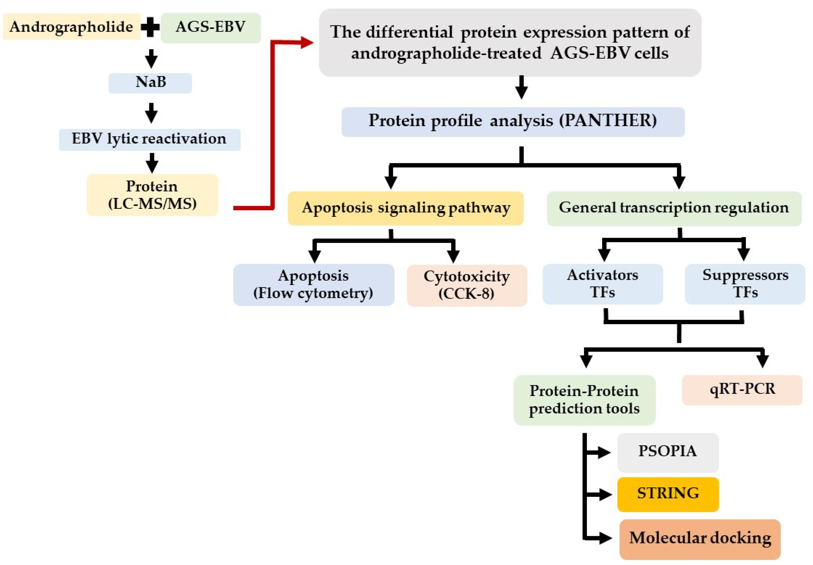 Microorganisms 09 02561 g001 Microorganisms 09 02561 g001