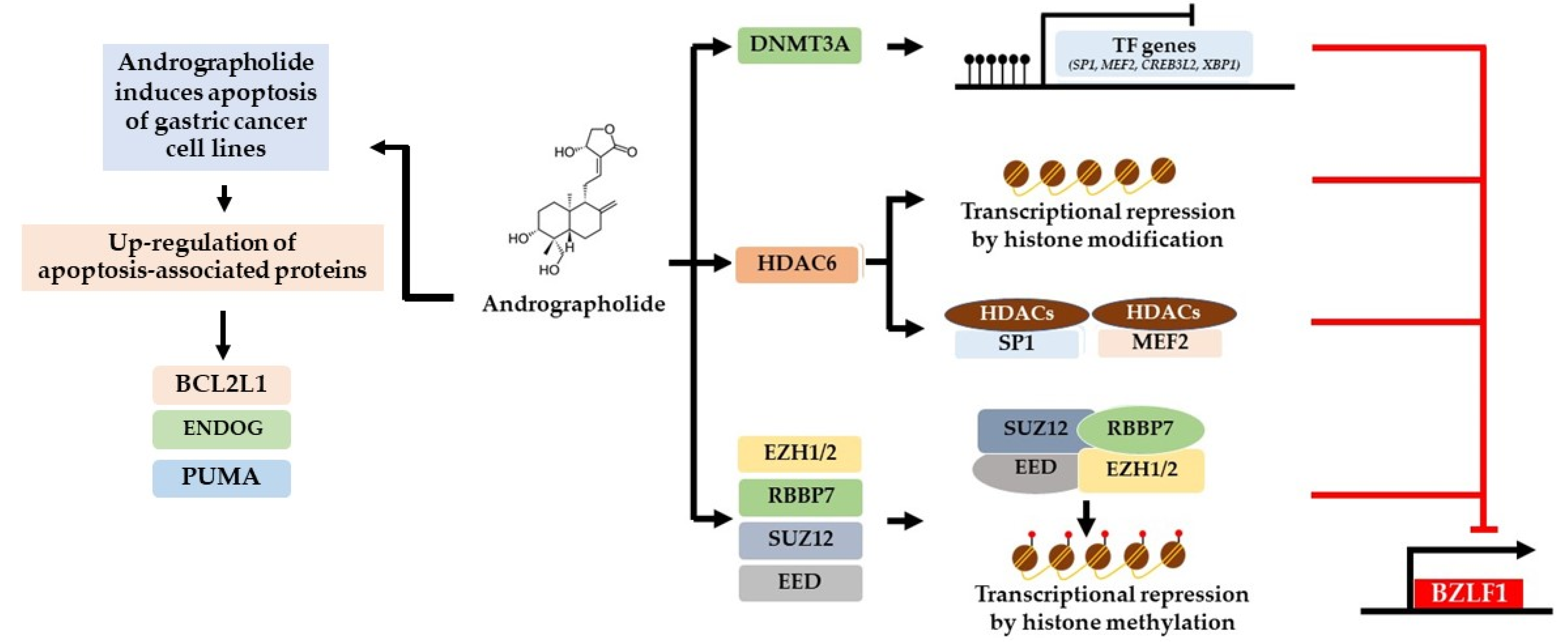 Microorganisms 09 02561 g008 Microorganisms 09 02561 g008
