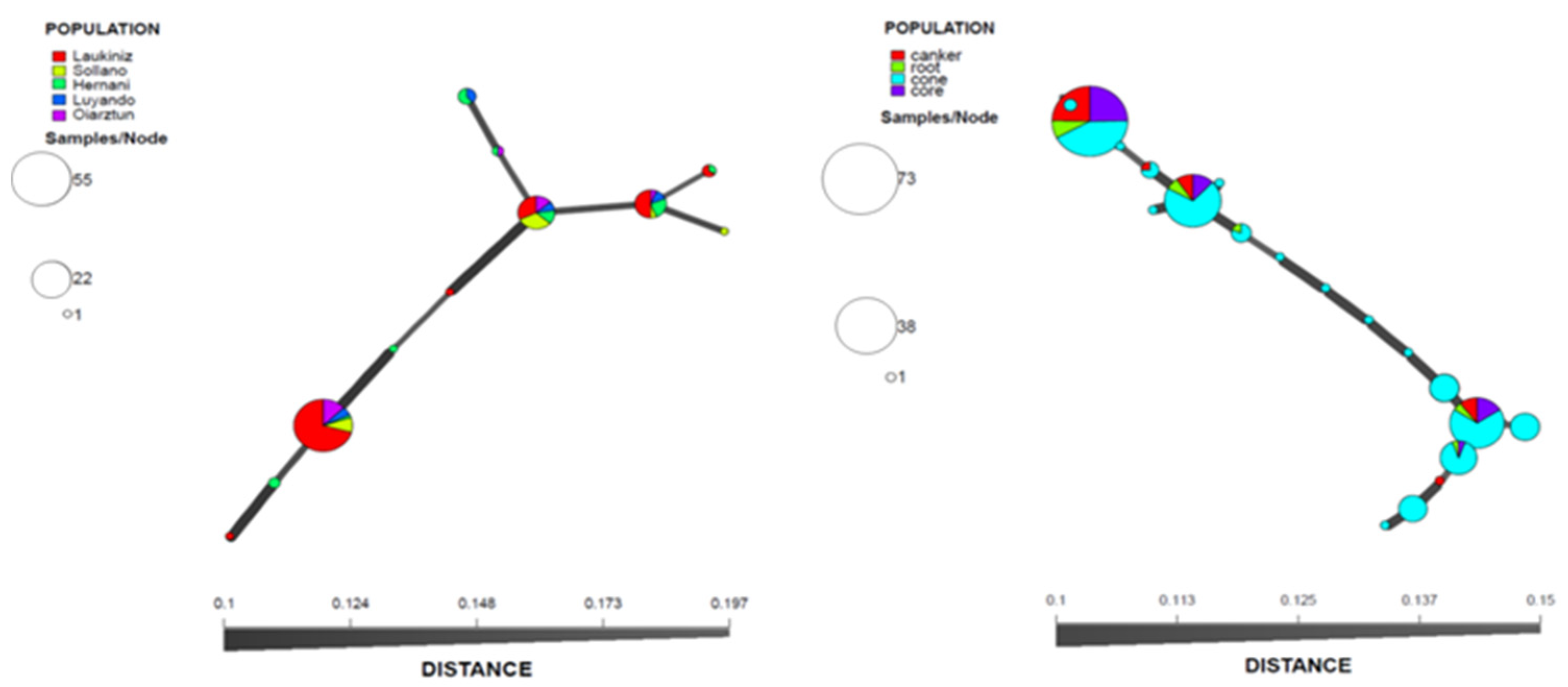 Microorganisms 09 02565 g002 Microorganisms 09 02565 g002