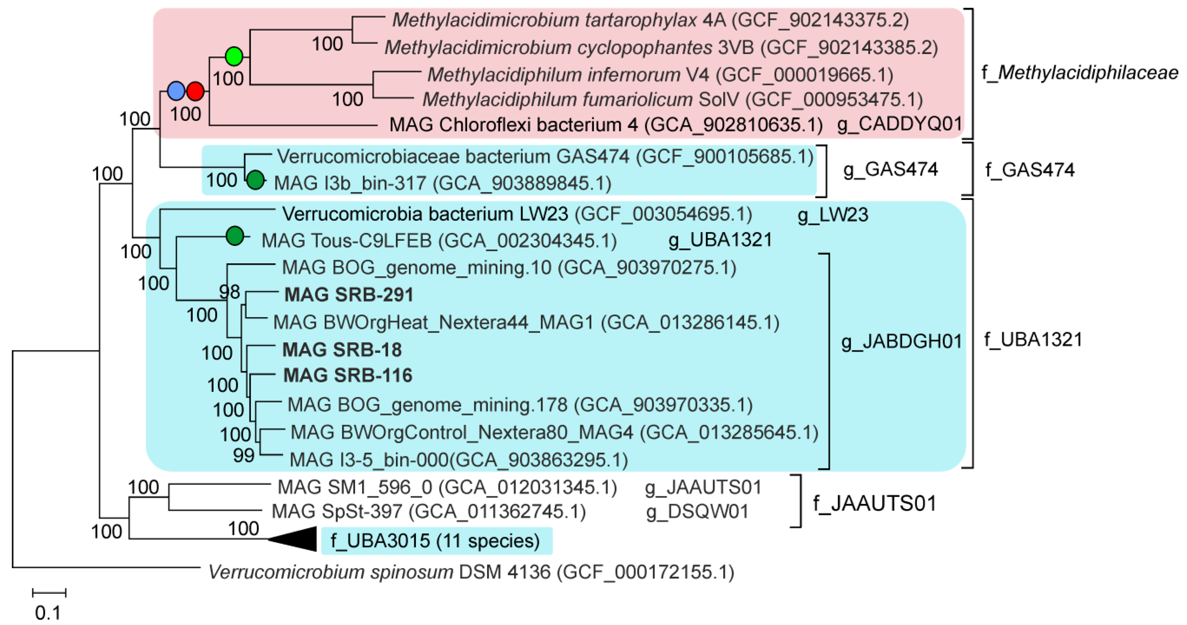 Microorganisms 09 02566 g004 550