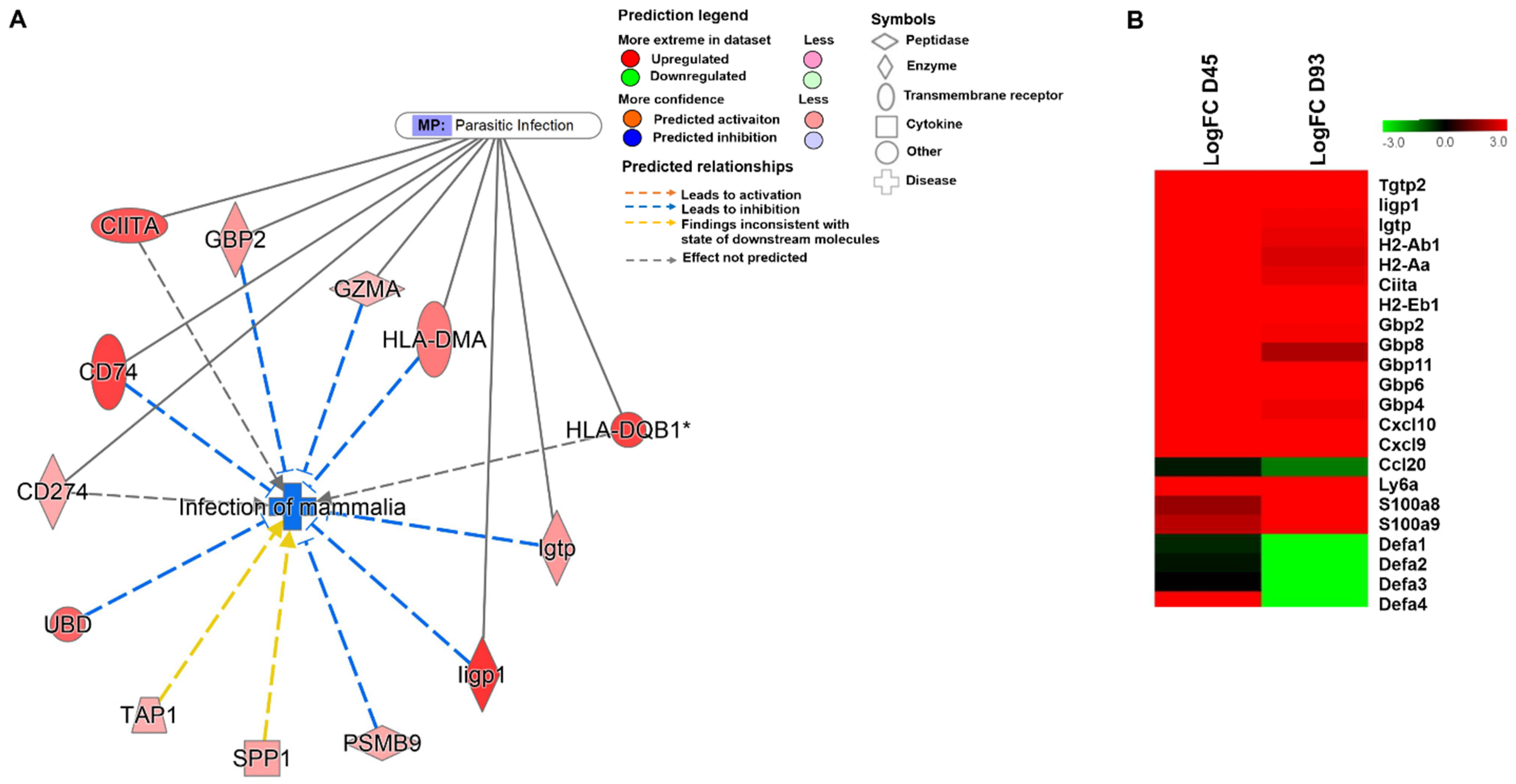 Microorganisms 09 02569 g003