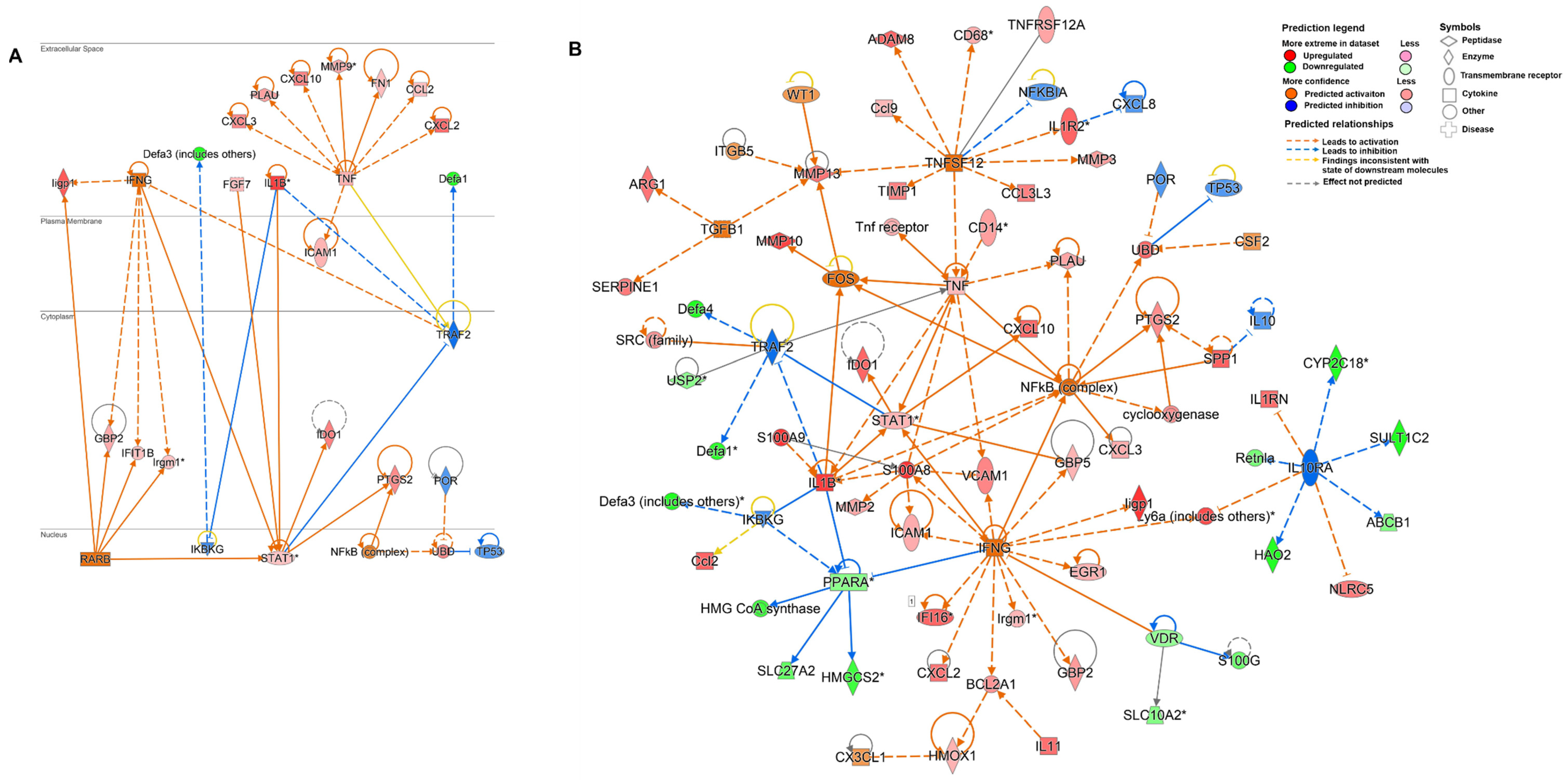 Microorganisms 09 02569 g006