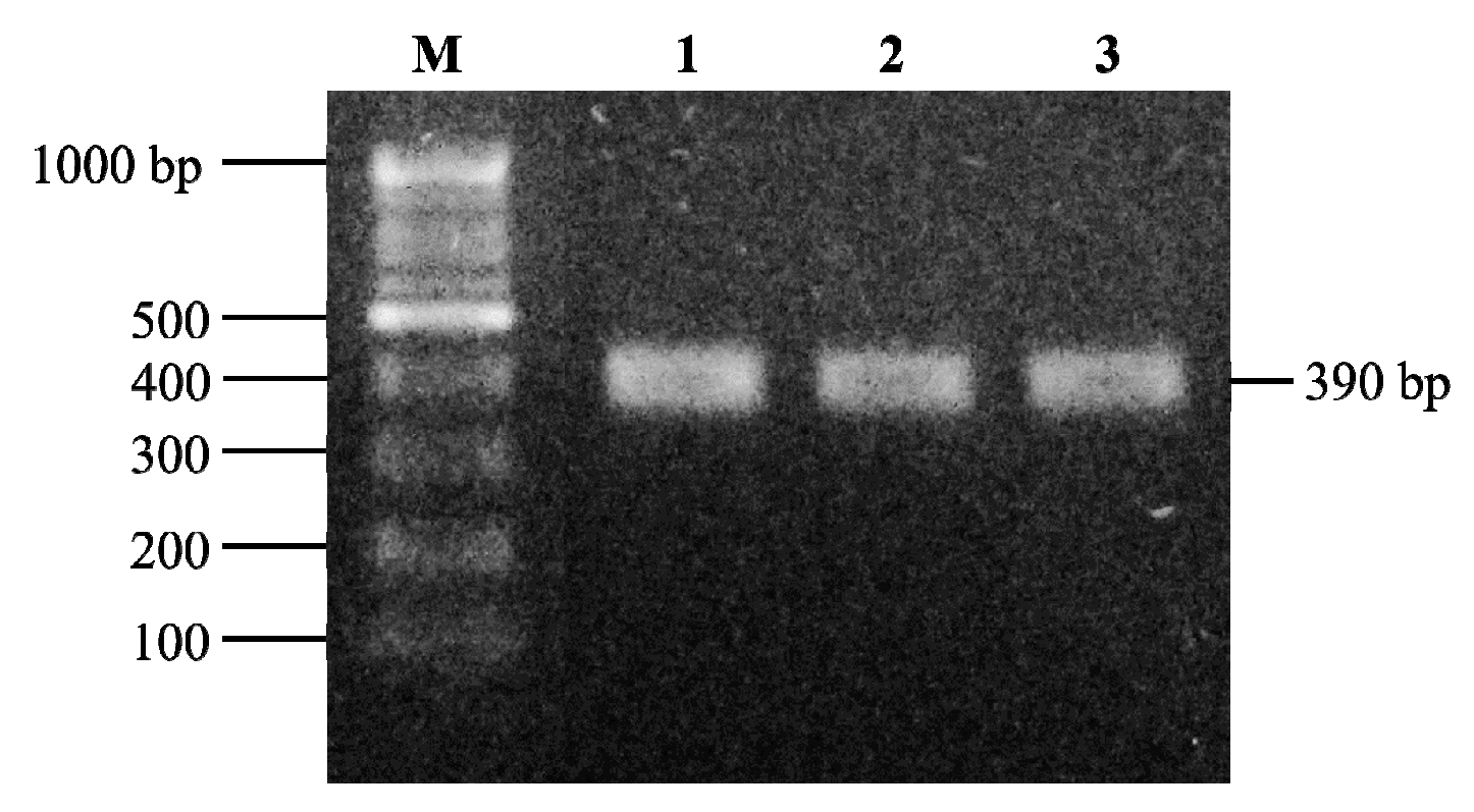 Microorganisms 09 02570 g005