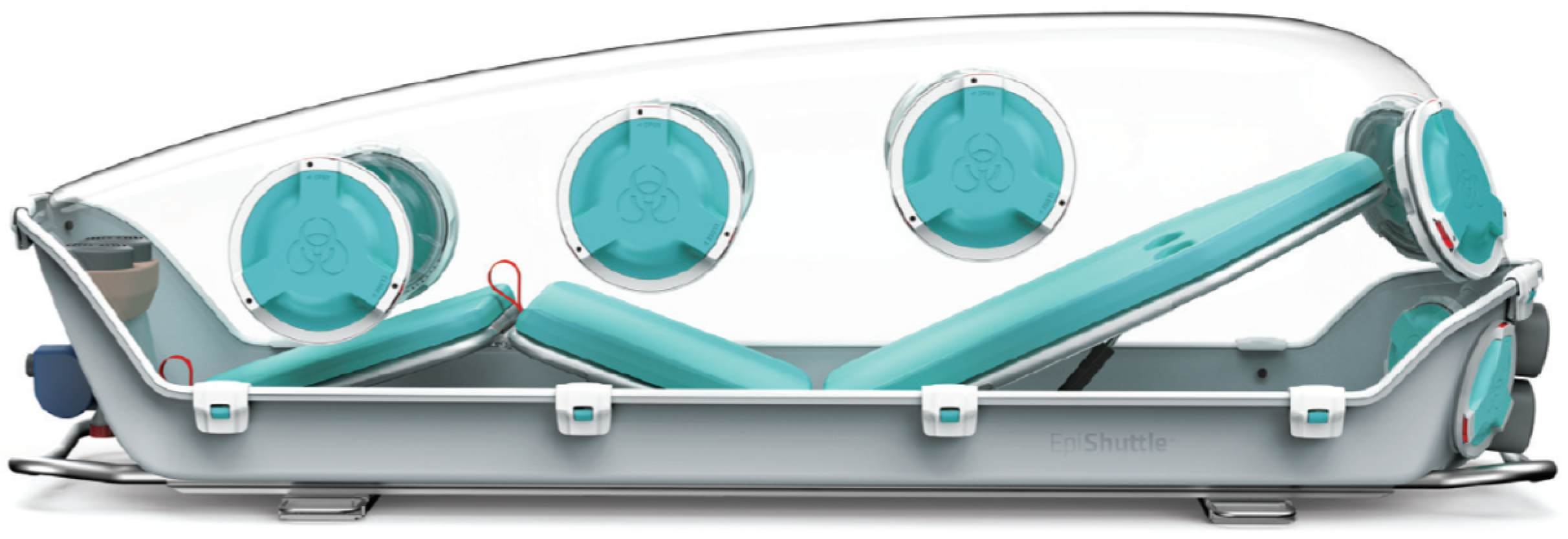 Microorganisms 09 02575 g001