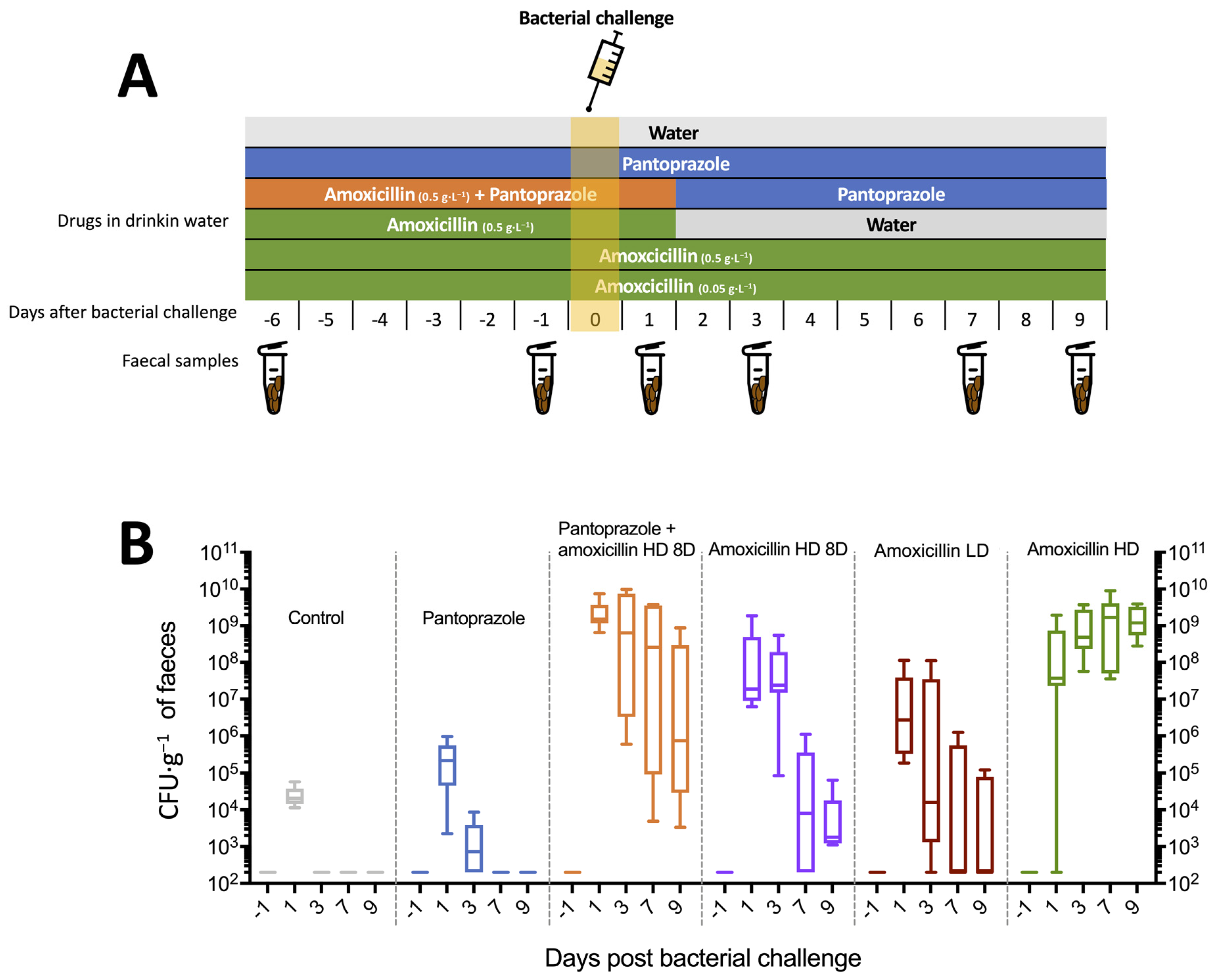 Microorganisms 09 02580 g001 Microorganisms 09 02580 g001