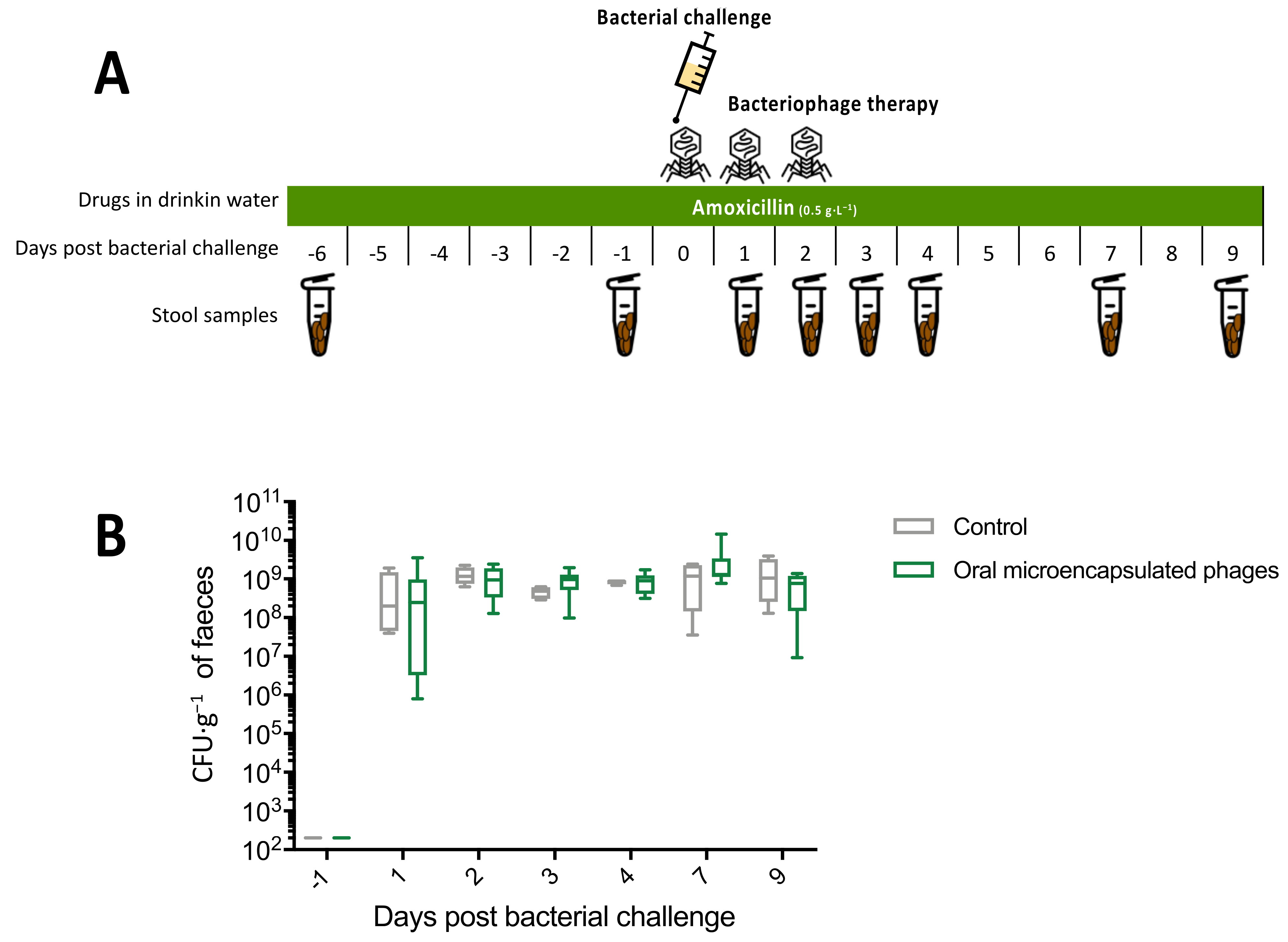 Microorganisms 09 02580 g003 Microorganisms 09 02580 g003