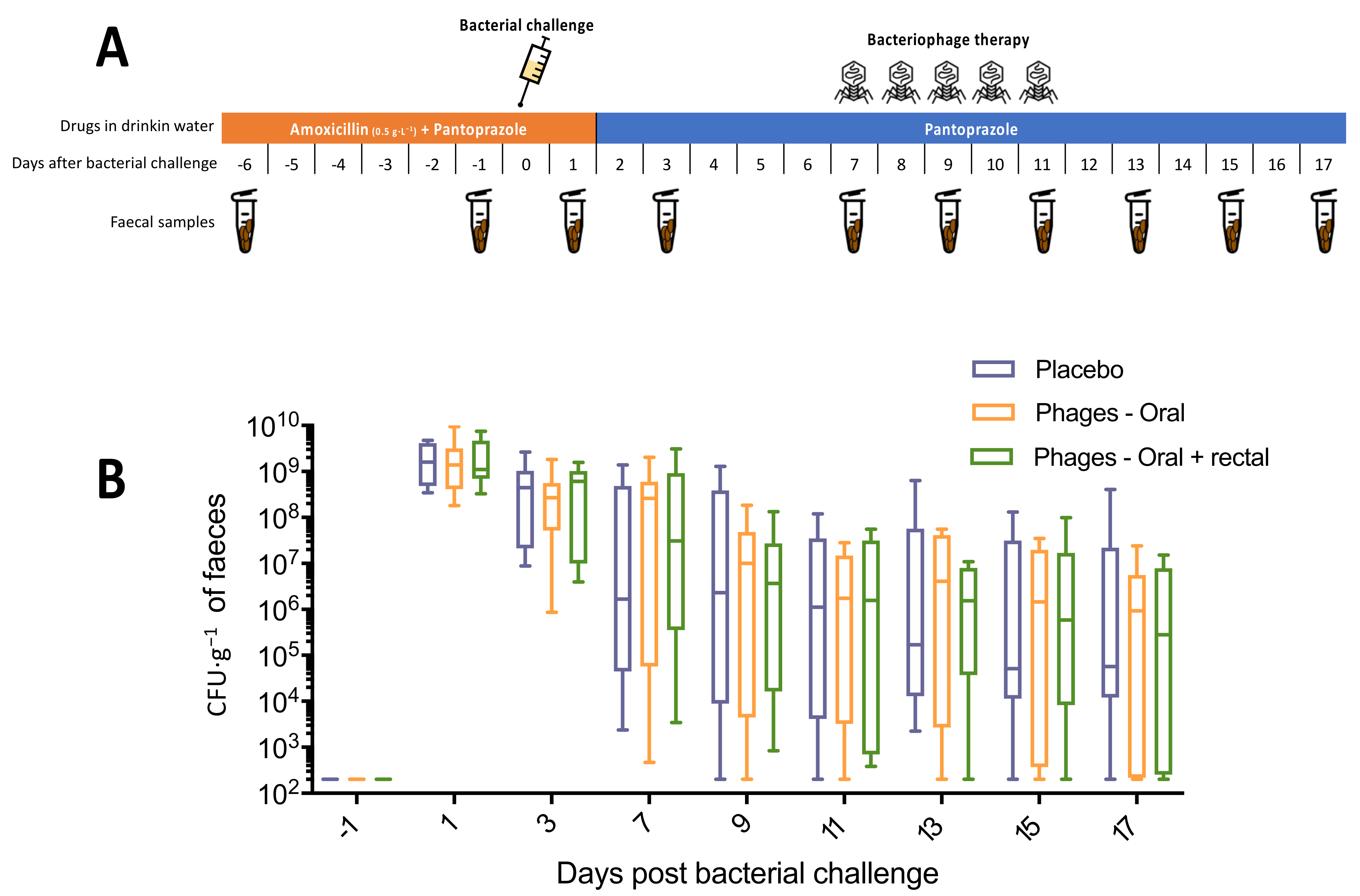 Microorganisms 09 02580 g004 Microorganisms 09 02580 g004