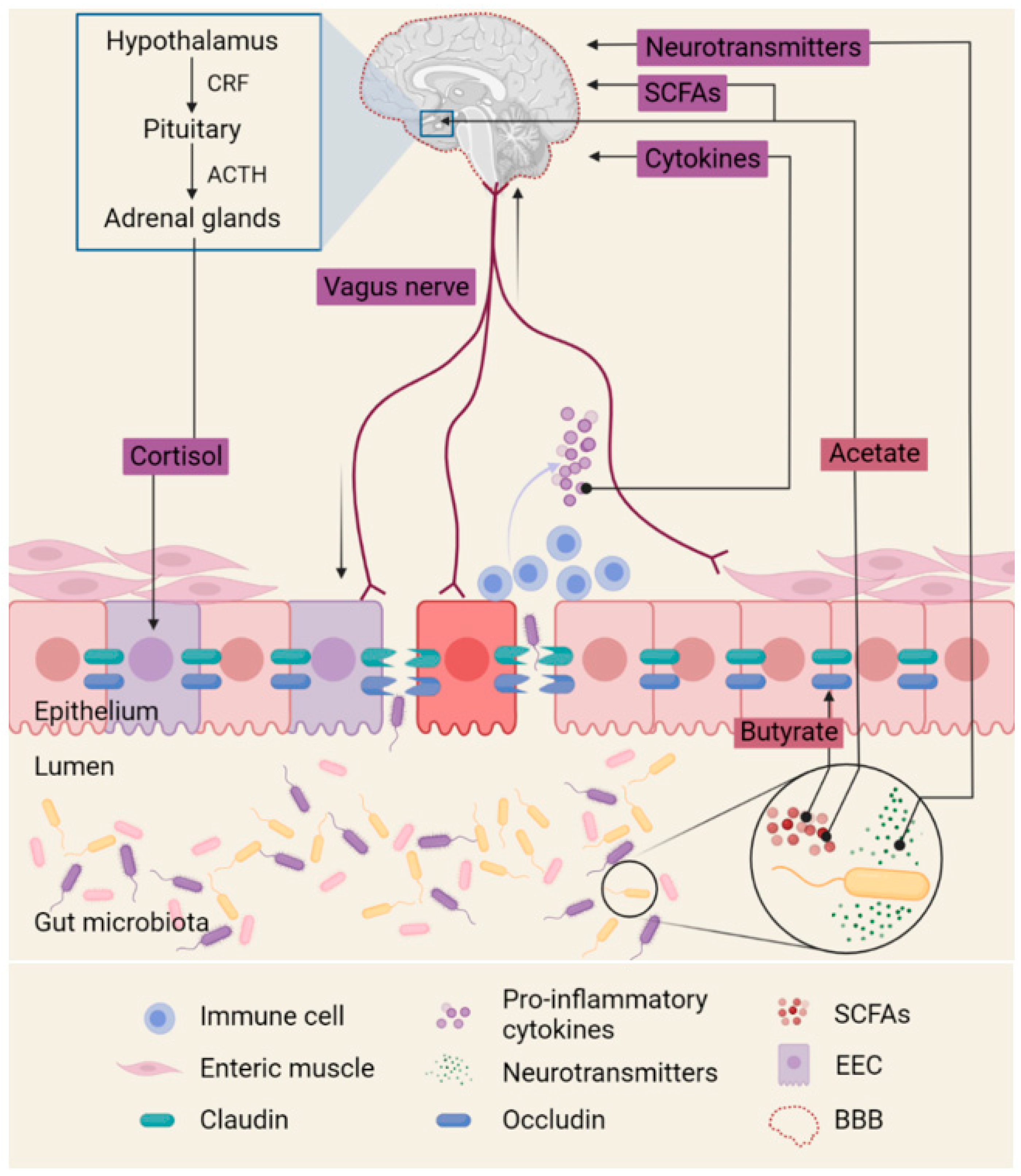 Microorganisms 09 02583 g001 Microorganisms 09 02583 g001