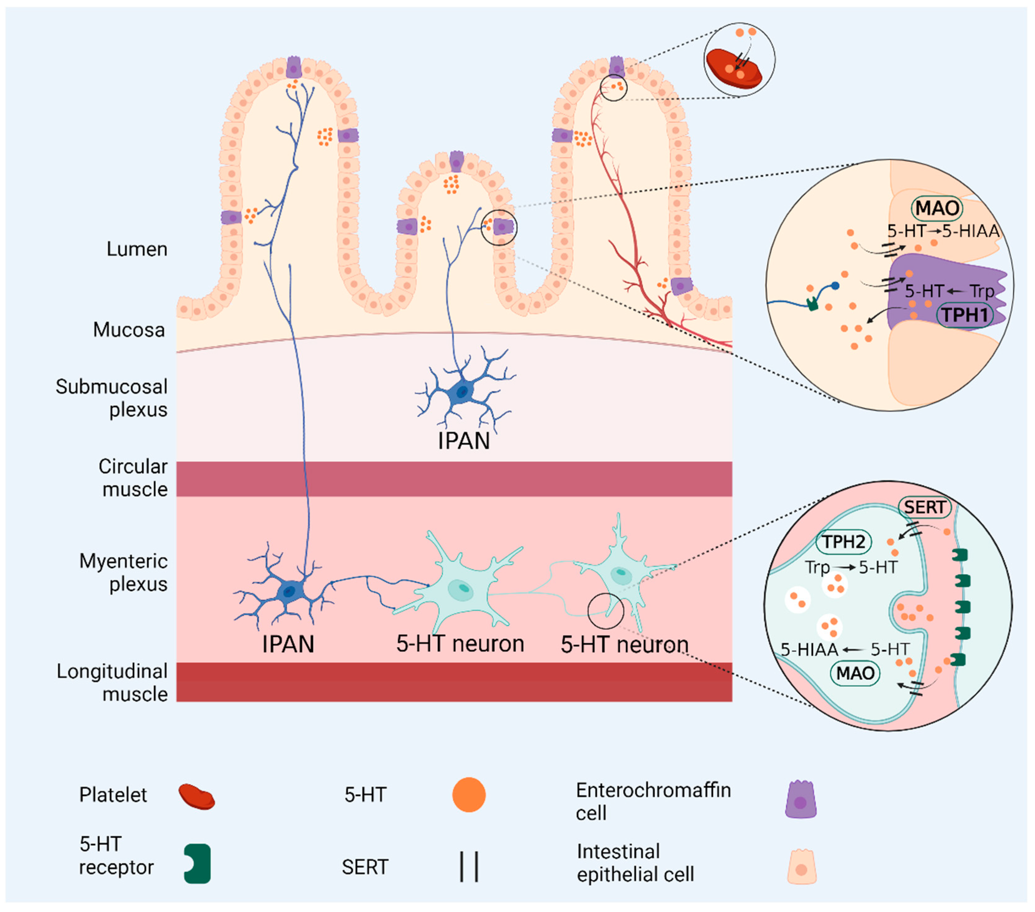 Microorganisms 09 02583 g002 Microorganisms 09 02583 g002